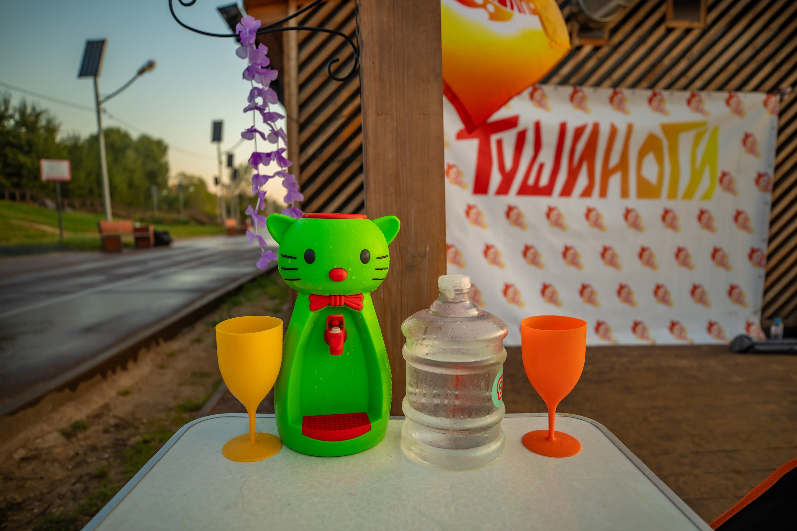 ТУШИНОГИ в последний летний рассвет 31.08.24. Фотограф Сергей Ловкий