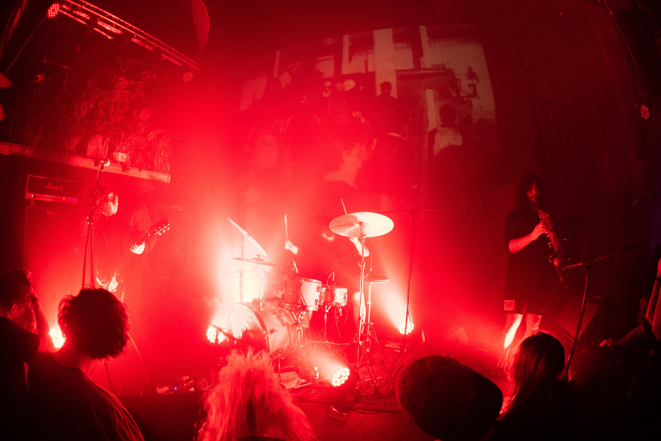 Шторм|Ласточка. Концертный и репортажный фотограф в Санкт-Петербурге Слава Пахомов