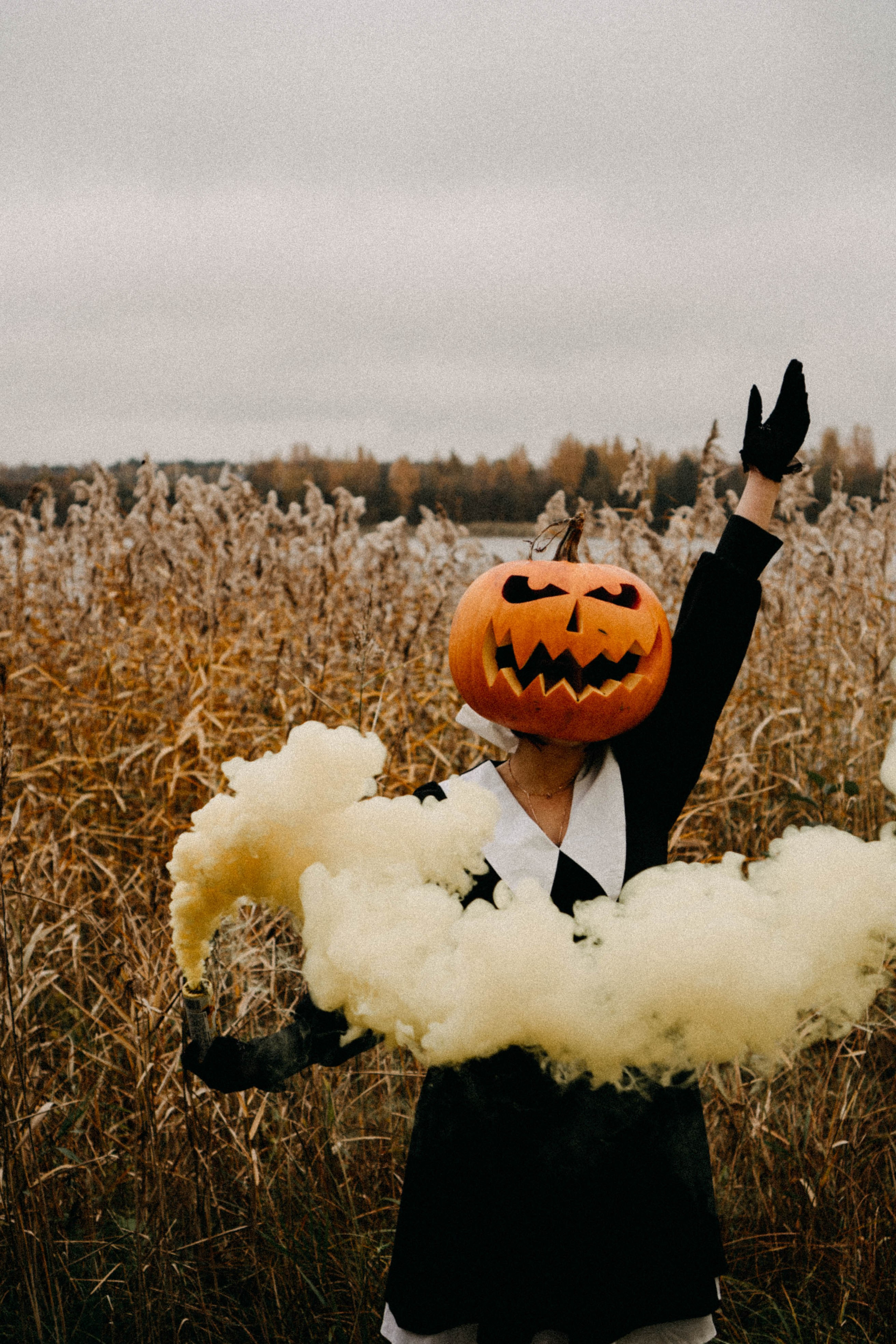 Осеняя. Профессиональный фотограф, Санкт-Петербург — Виктория Богомолова