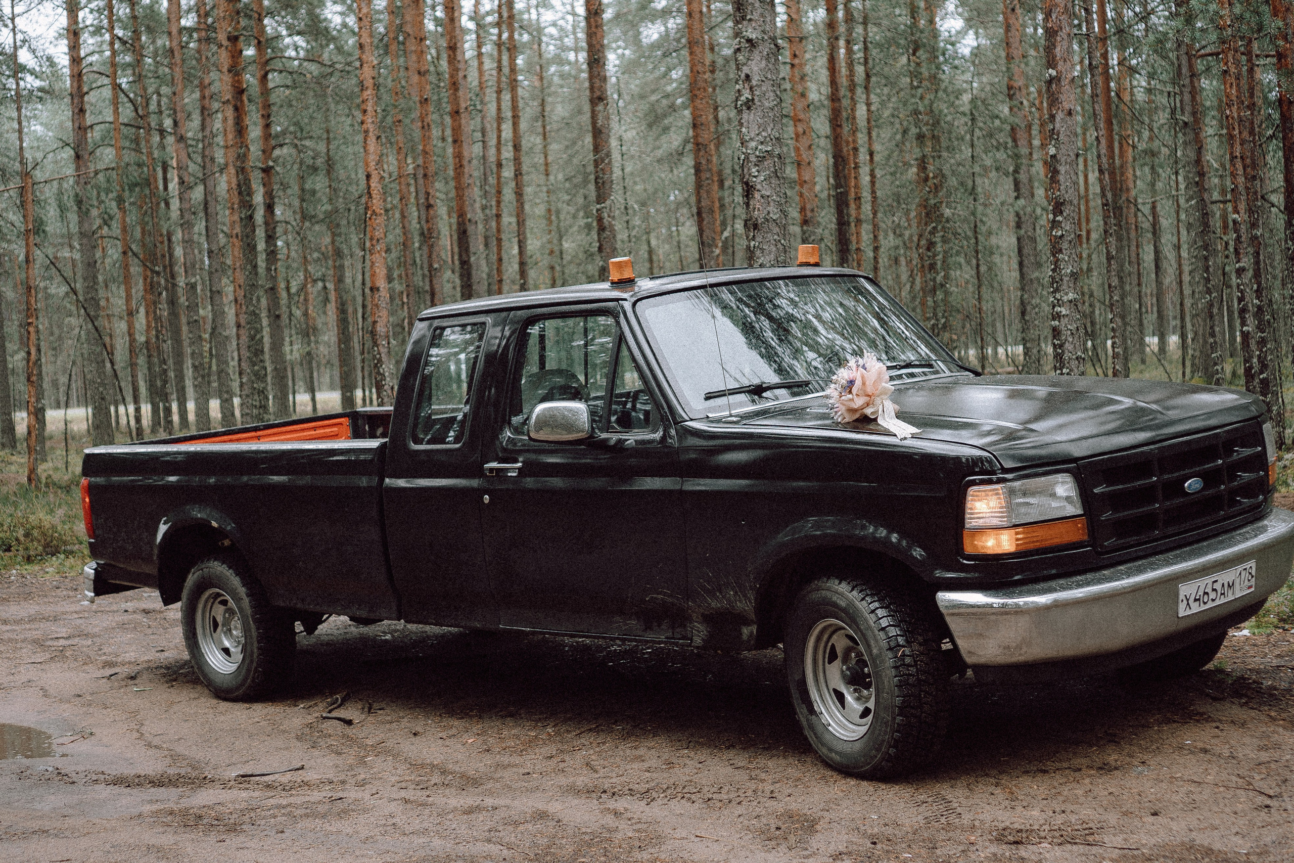 СВАДЕБНАЯ ФОТОСЕССИИЯ ПАРЫ В ГОРОДЕ ПРИОЗЕРСК В СОСНОВОМ ЛЕСУ И С ПИКАПОМ. Профессиональный фотограф, Санкт-Петербург — Виктория Богомолова