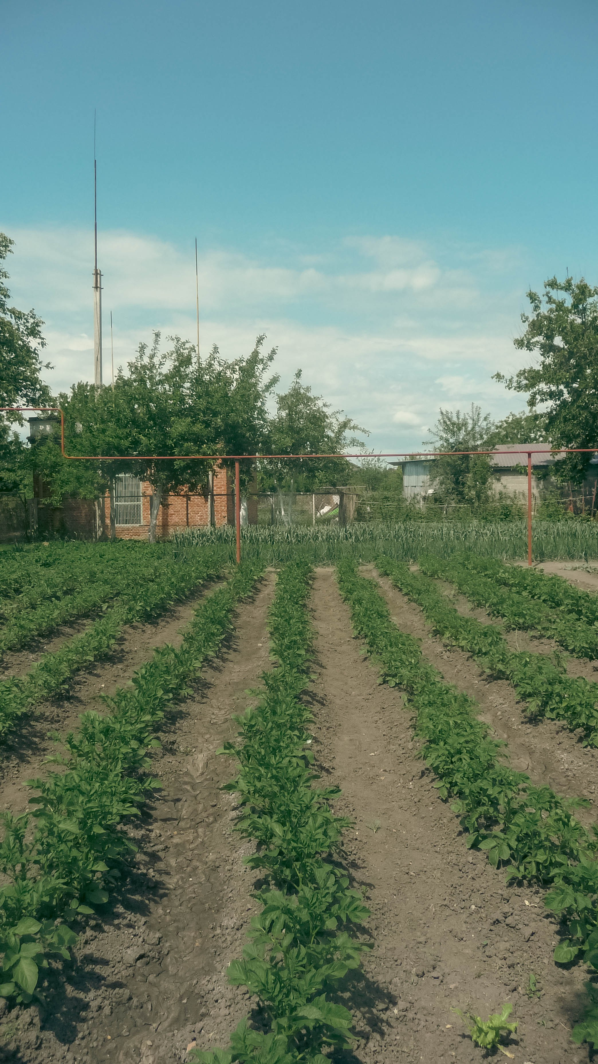 Майская Кубань. Фотограф Анастасия Лощакова в Москве