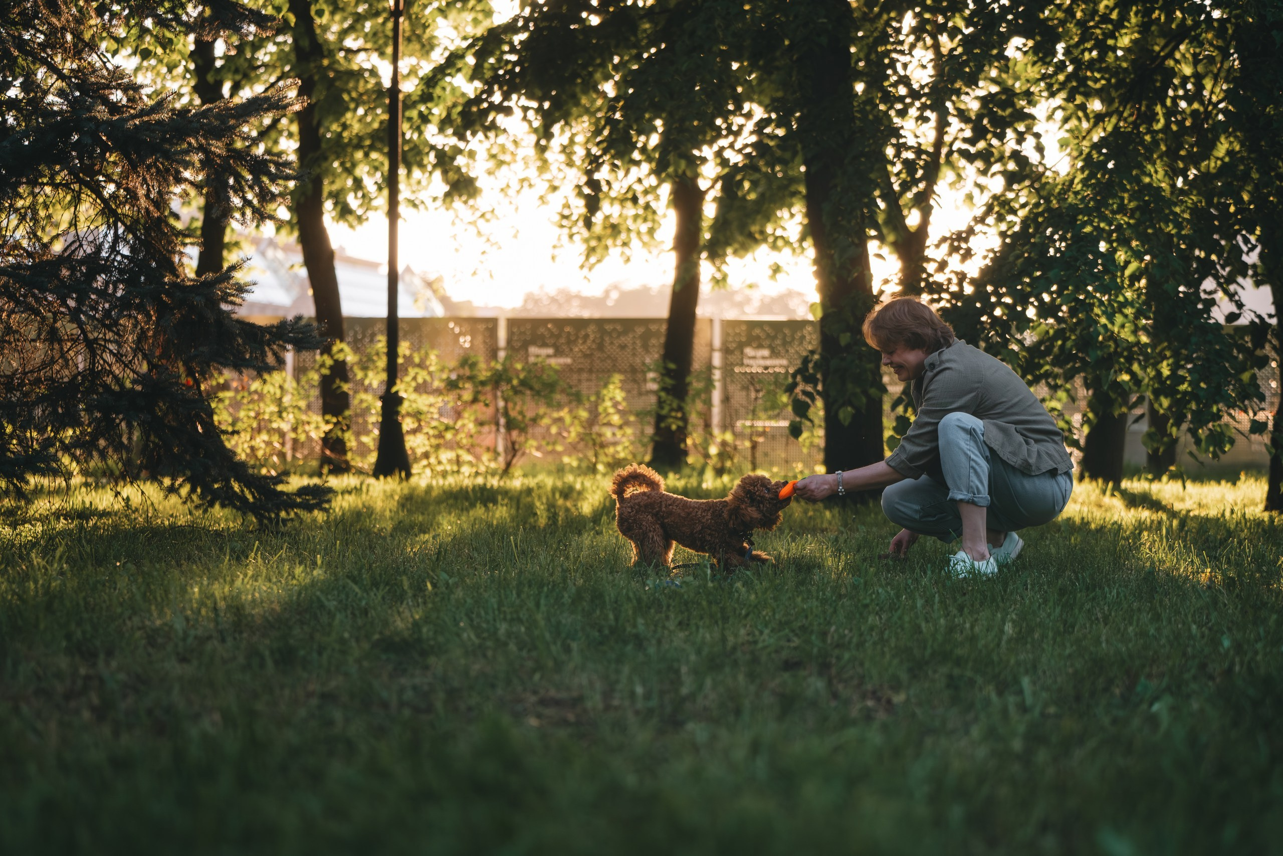 Юля с пуделем. Фотограф Анималист в Москве Анастасия Жучкова