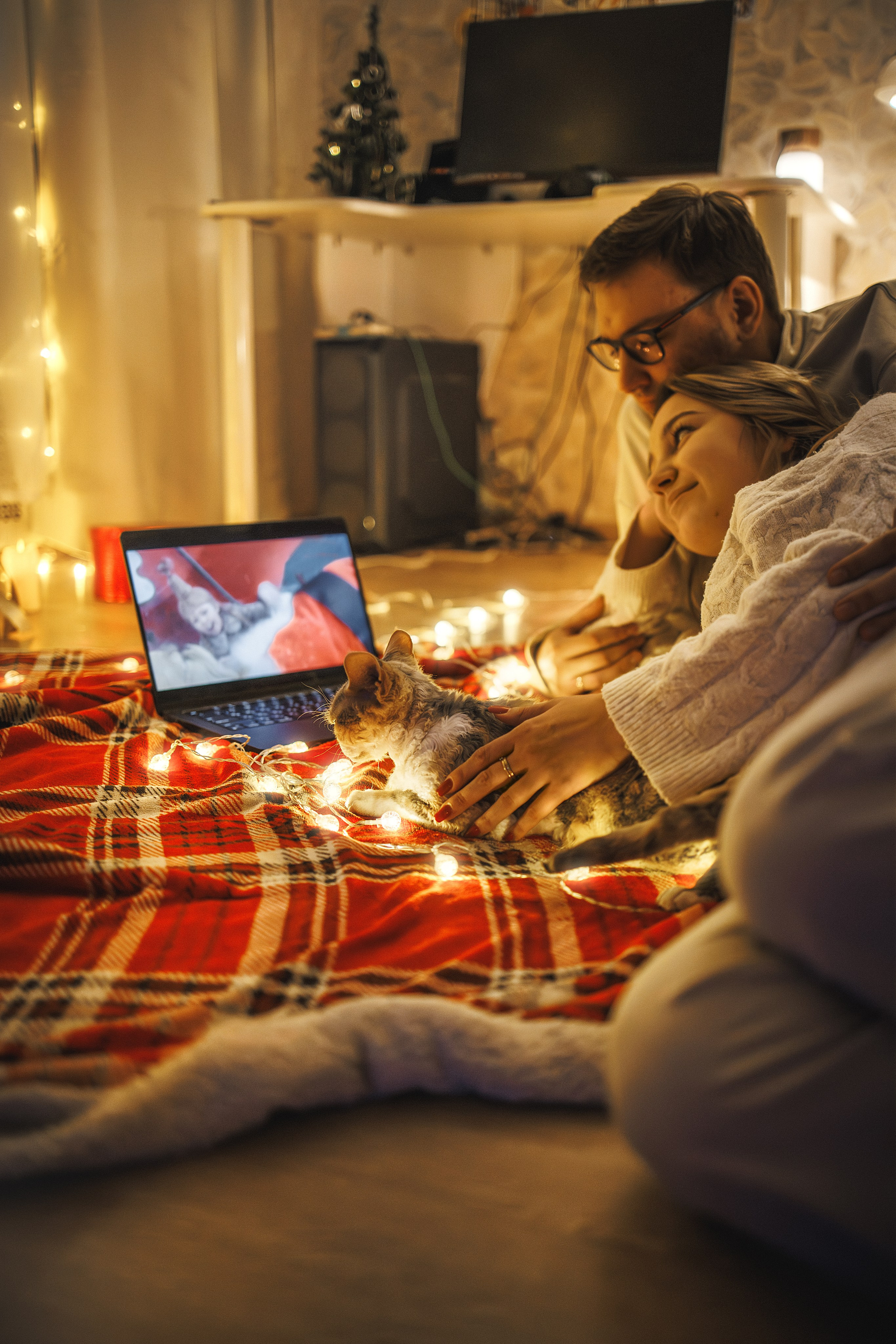 Домашняя новогодняя. Фотограф Анималист в Москве Анастасия Жучкова