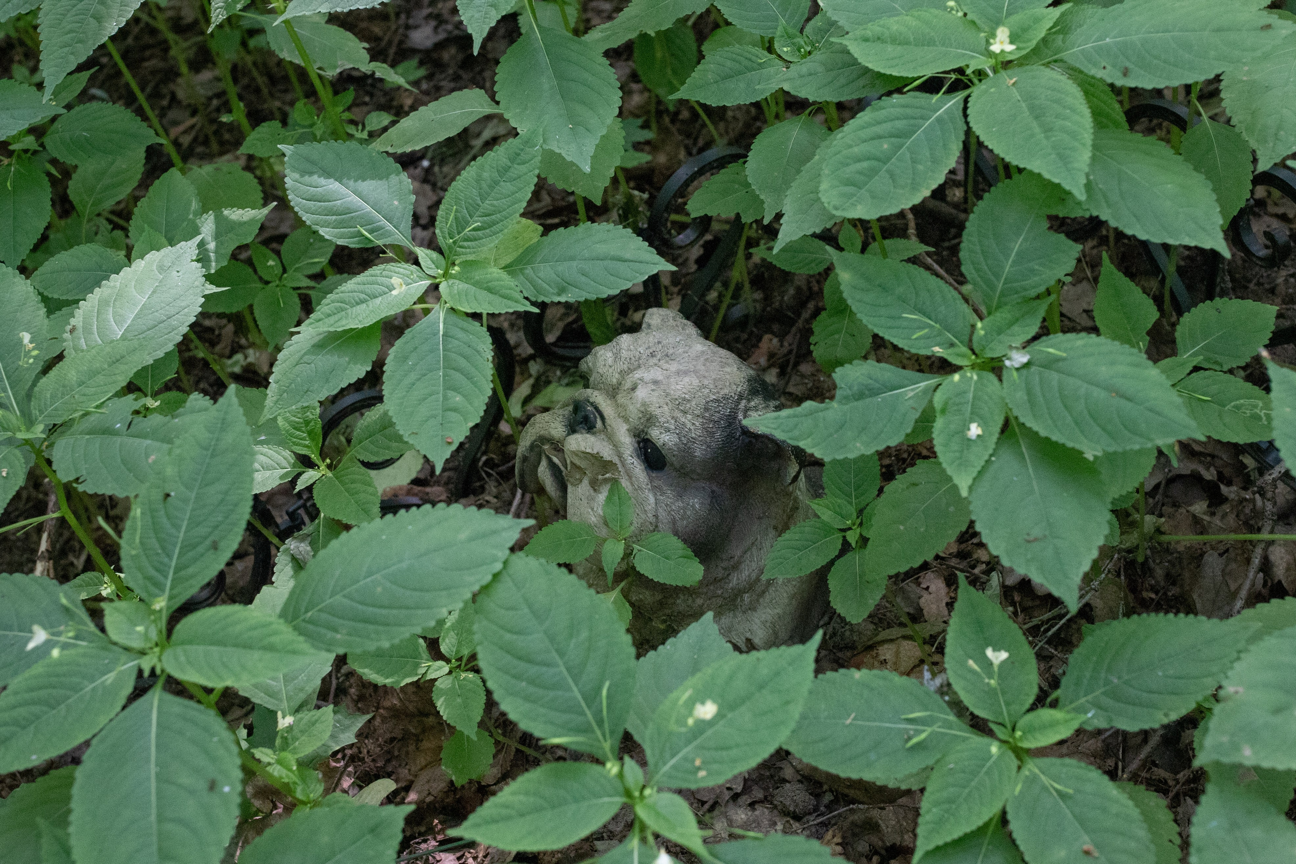 Пустота имеет место. Главная