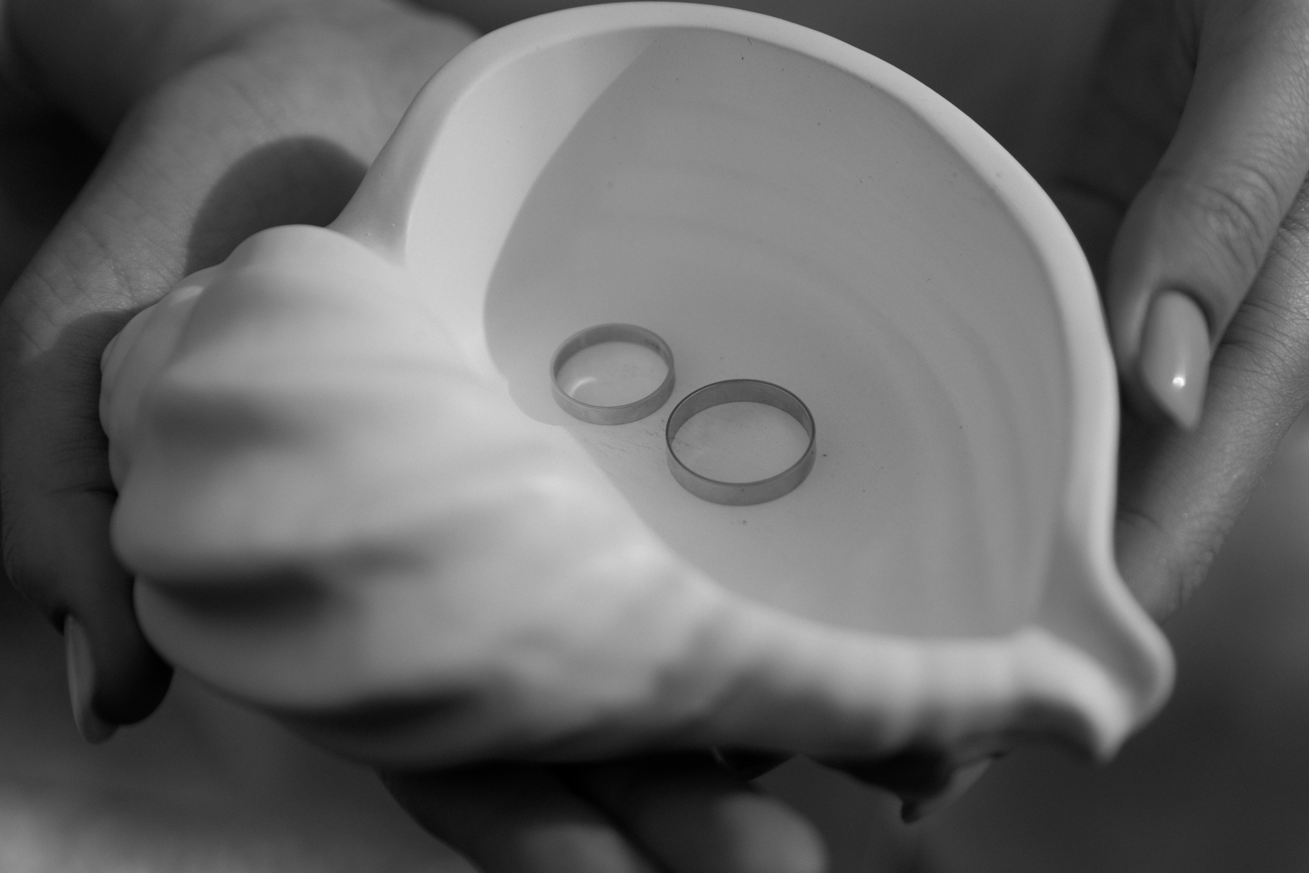 Даниил и Софья. Свадебный фотограф в Пятигорске и КМВ Софья Аджикеримова