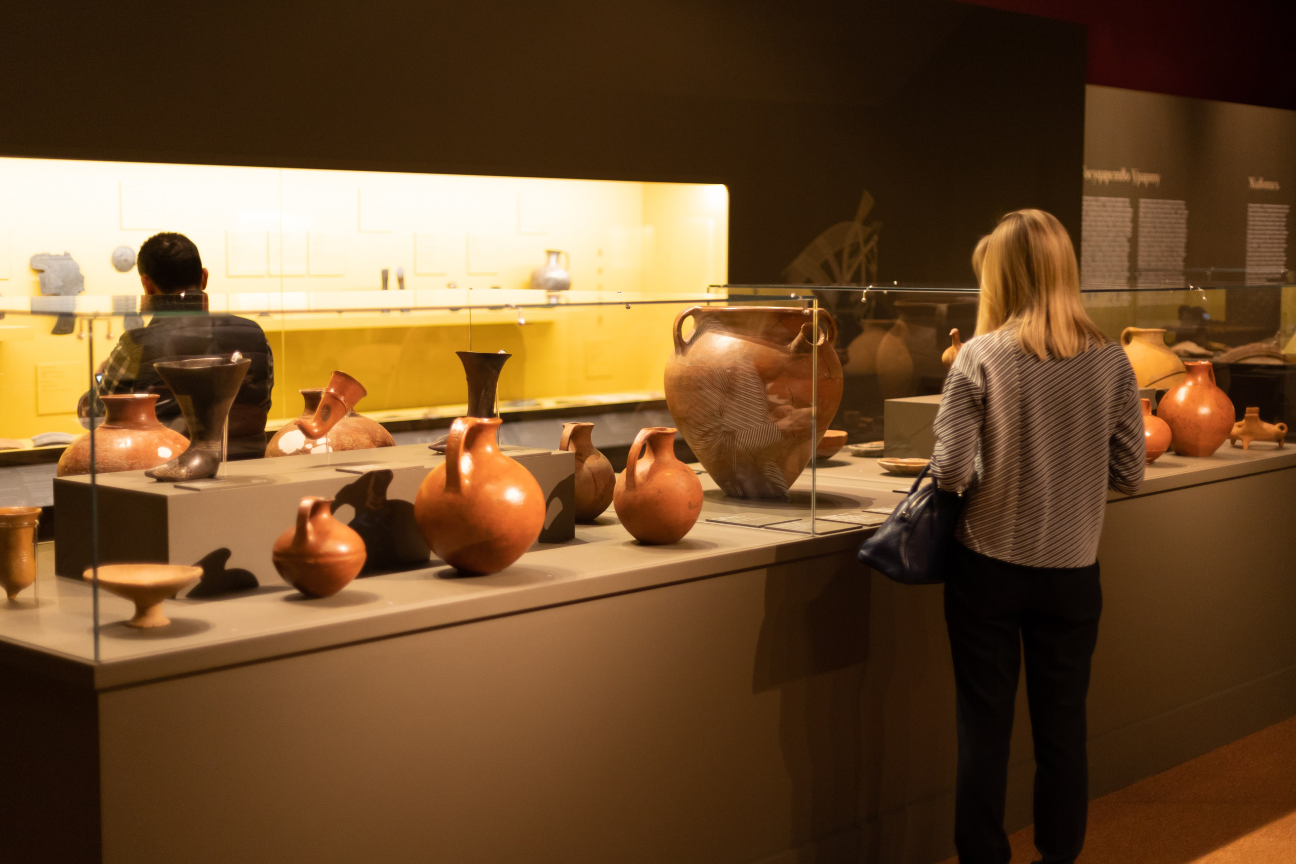 Пушкинский музей: открытие выставки Царству Урарту. Репортажный фотограф видеограф в Москве Ольга Плаксина