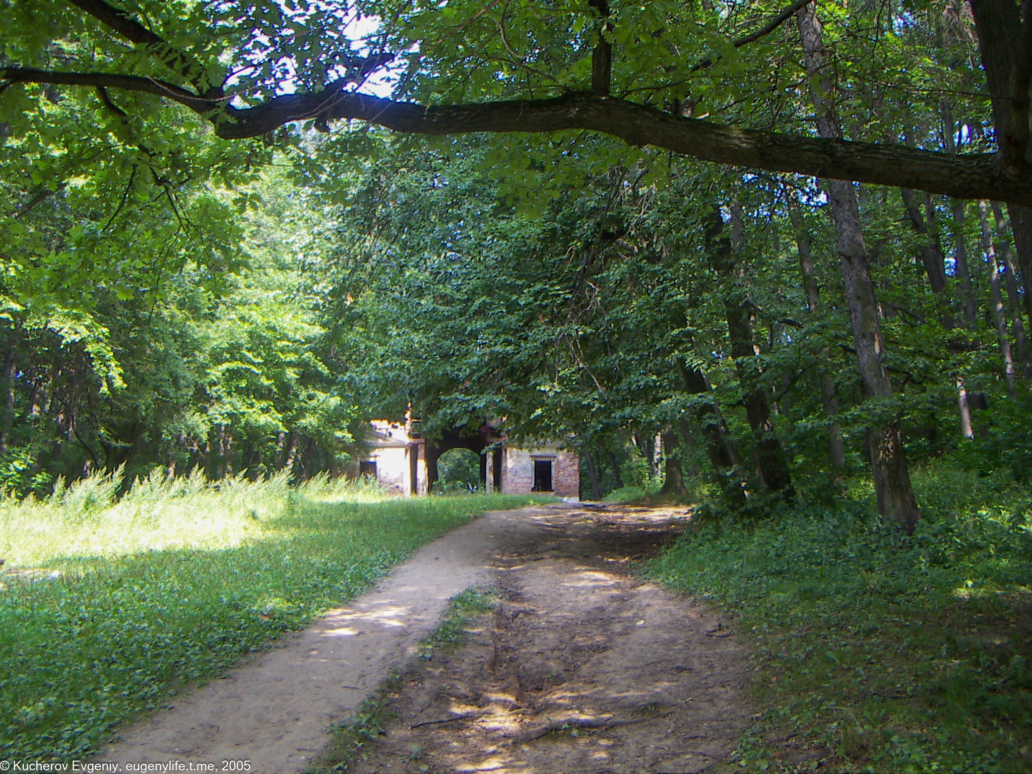 Август 2005. Царицыно. Кучеров Евгений. Фотограф