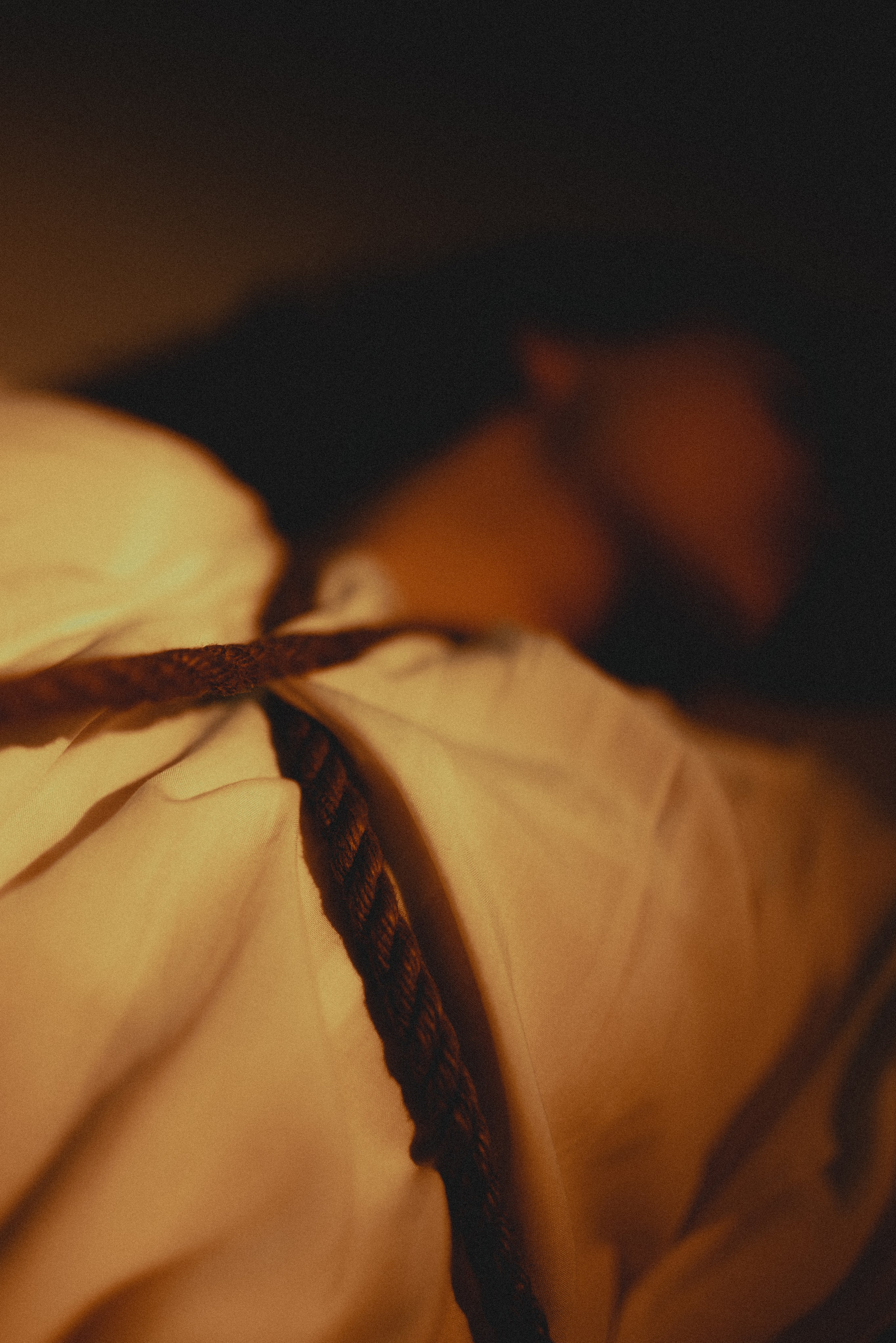 ANASTASIA 2024 étude. Фотограф Санкт-Петербург, Новороссийск