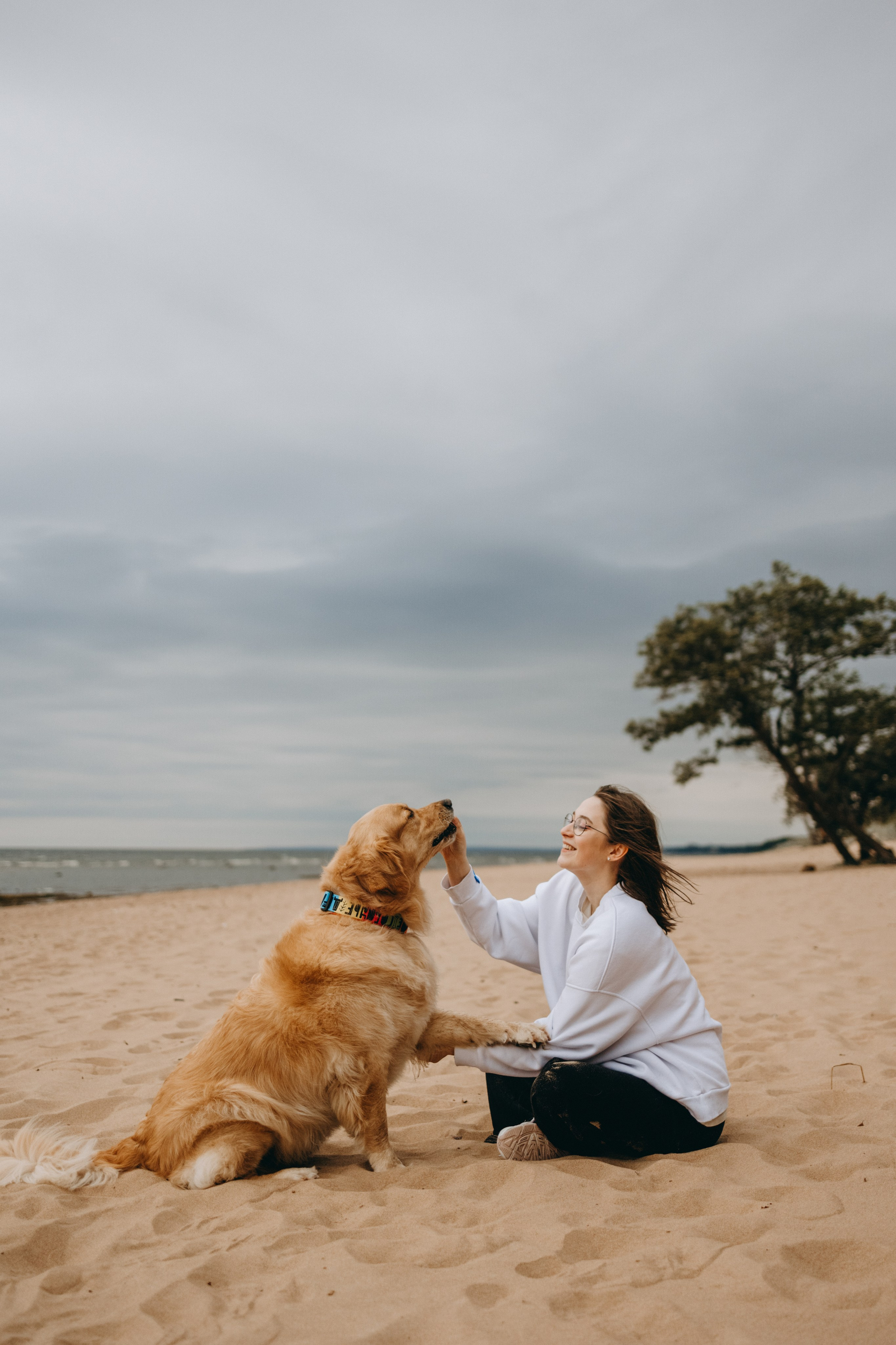 Фоси и его семьи. Фотограф — Анималист | Санкт-Петербург