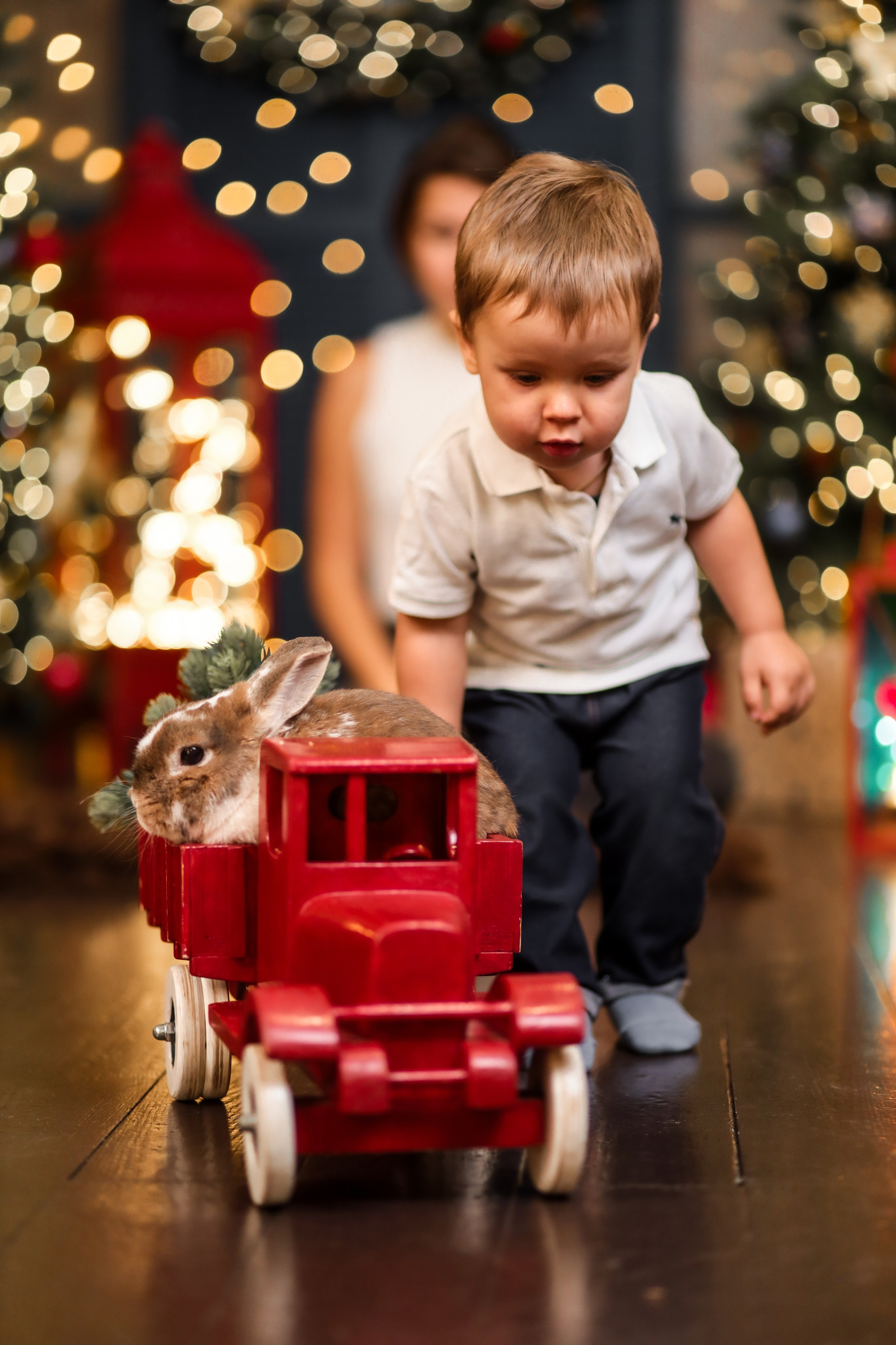 Марк и Валерия. Kharchenkotatianaweddingphoto