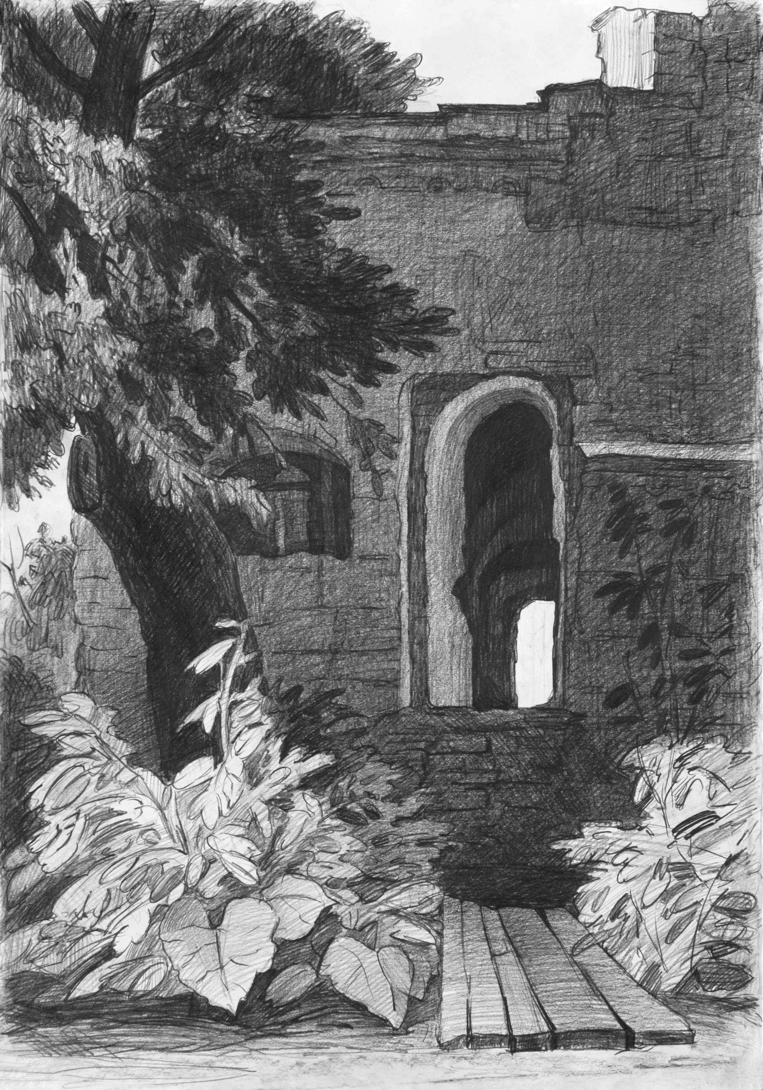 Графика. Ефремова Ольга. Художник