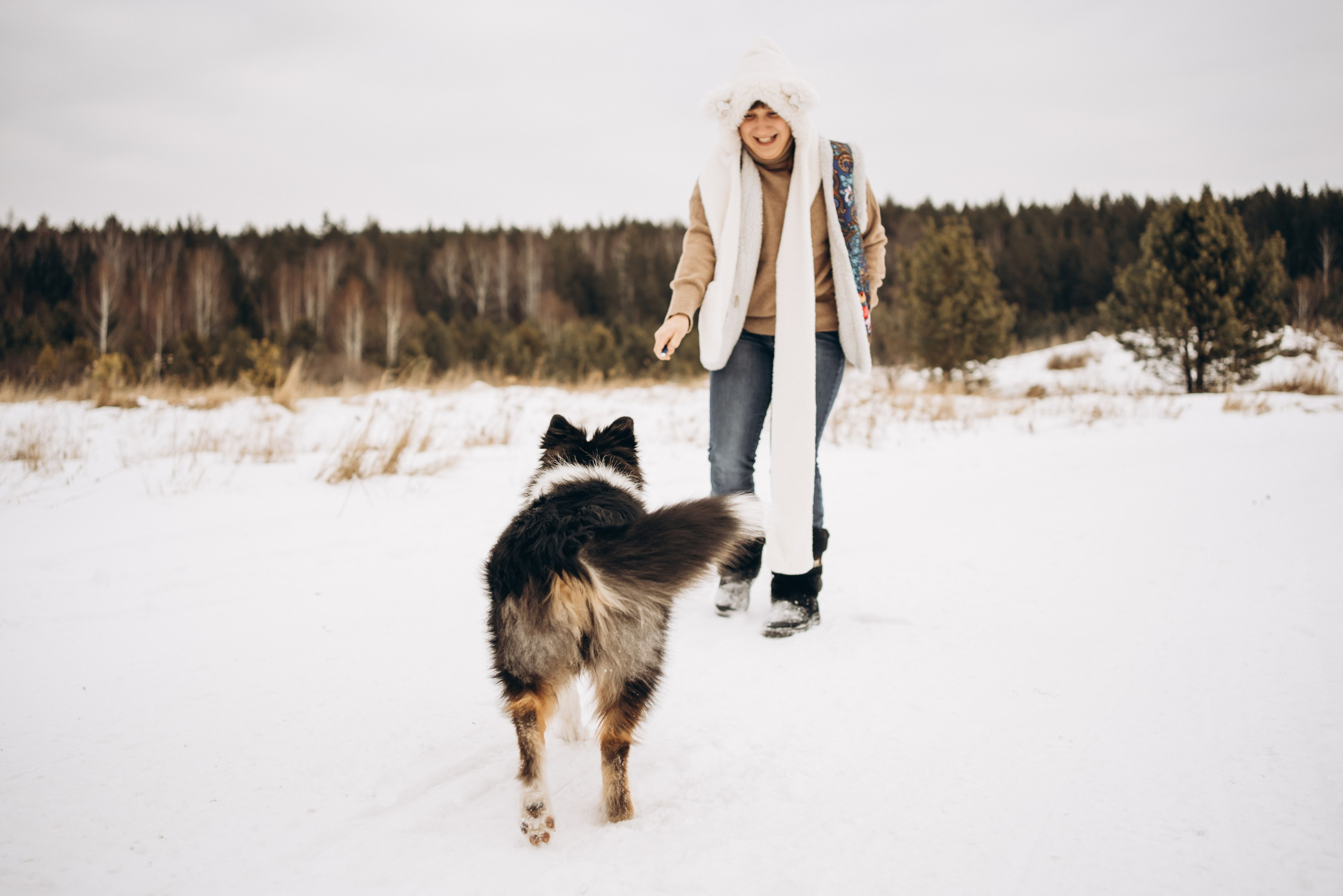 Альма. Фотограф-анималист Анастасия Большакова