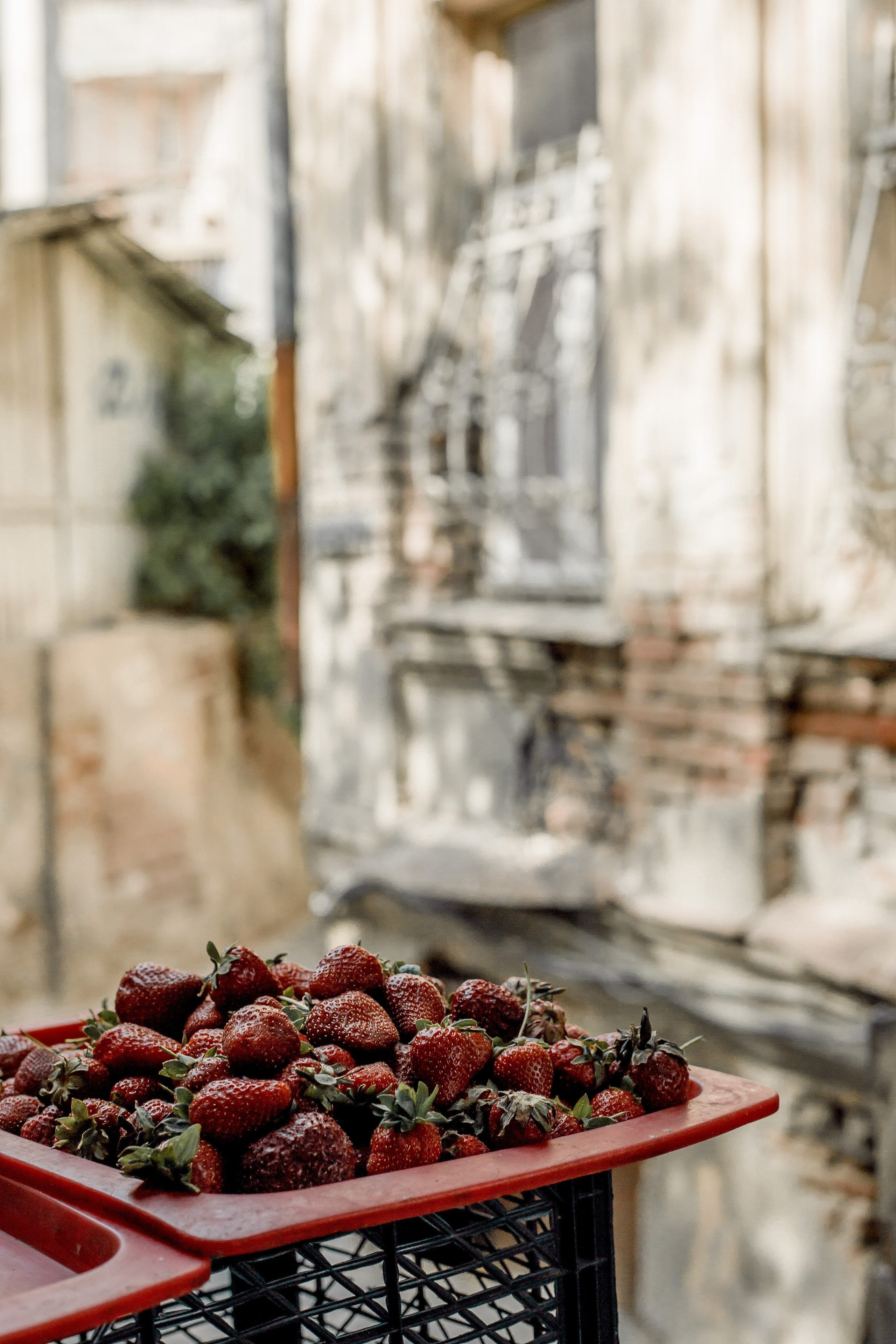 Georgia, Tbilisi. Art Photographer
