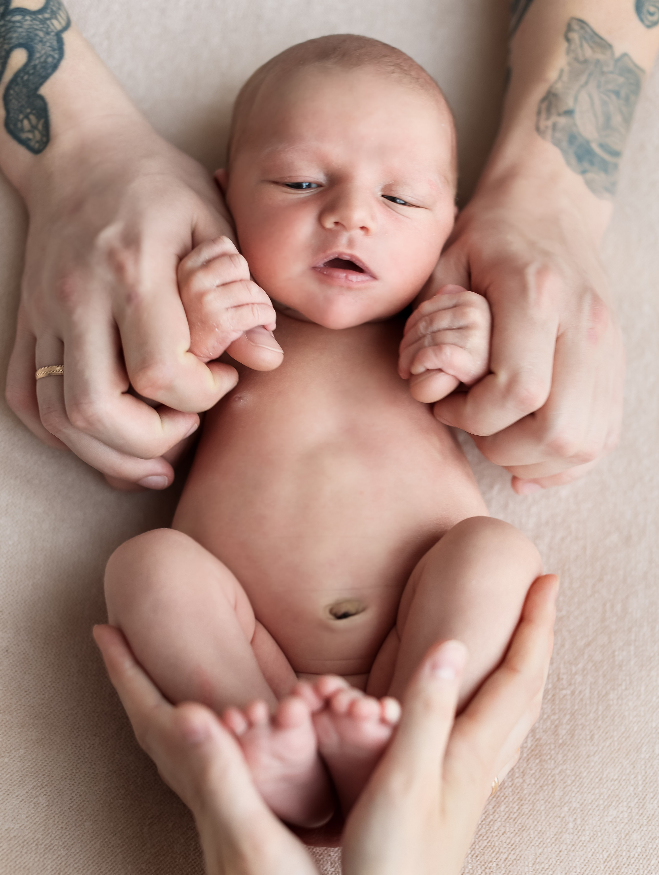 Леон. Семейный и детский фотограф Москва Елена Екимова 8926-895-38-86