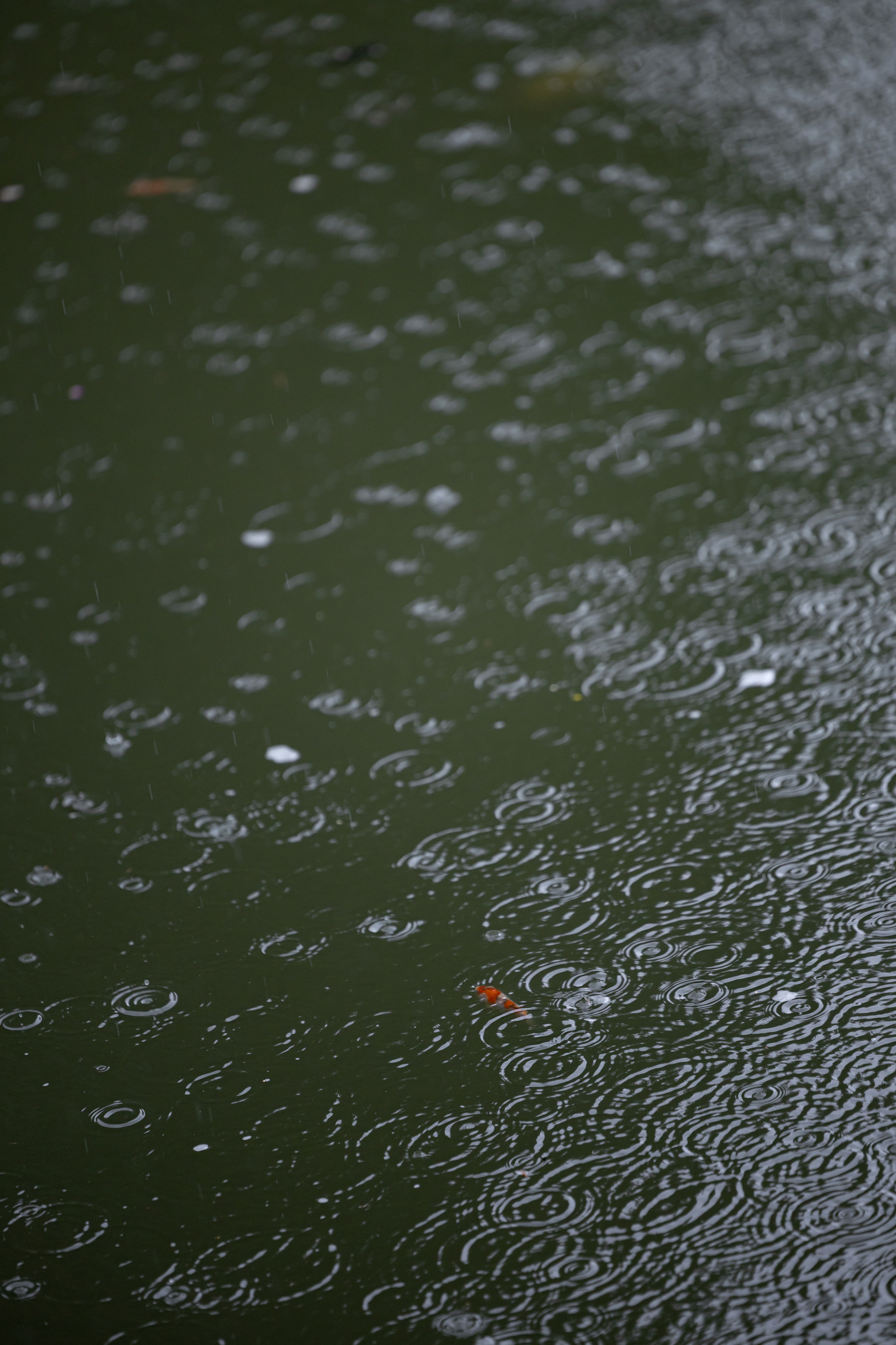 Михаил & Виктория. Обо мне