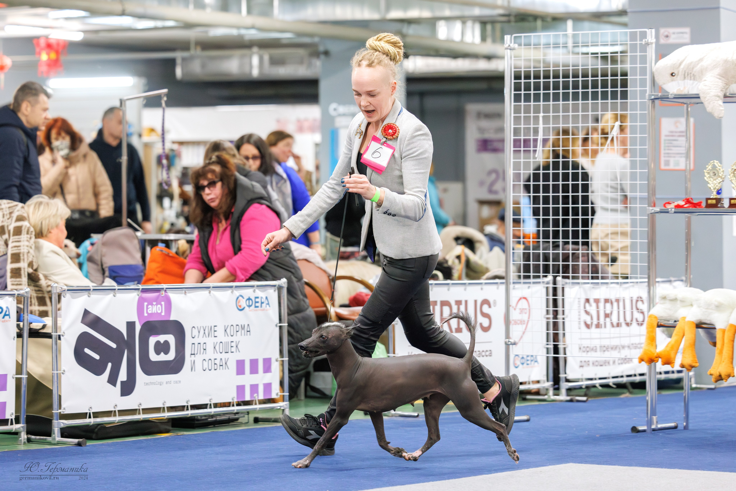 Сфера и Крокус 8,9,16 и 30.03.2025. Фотограф-анималист Юлия Германика