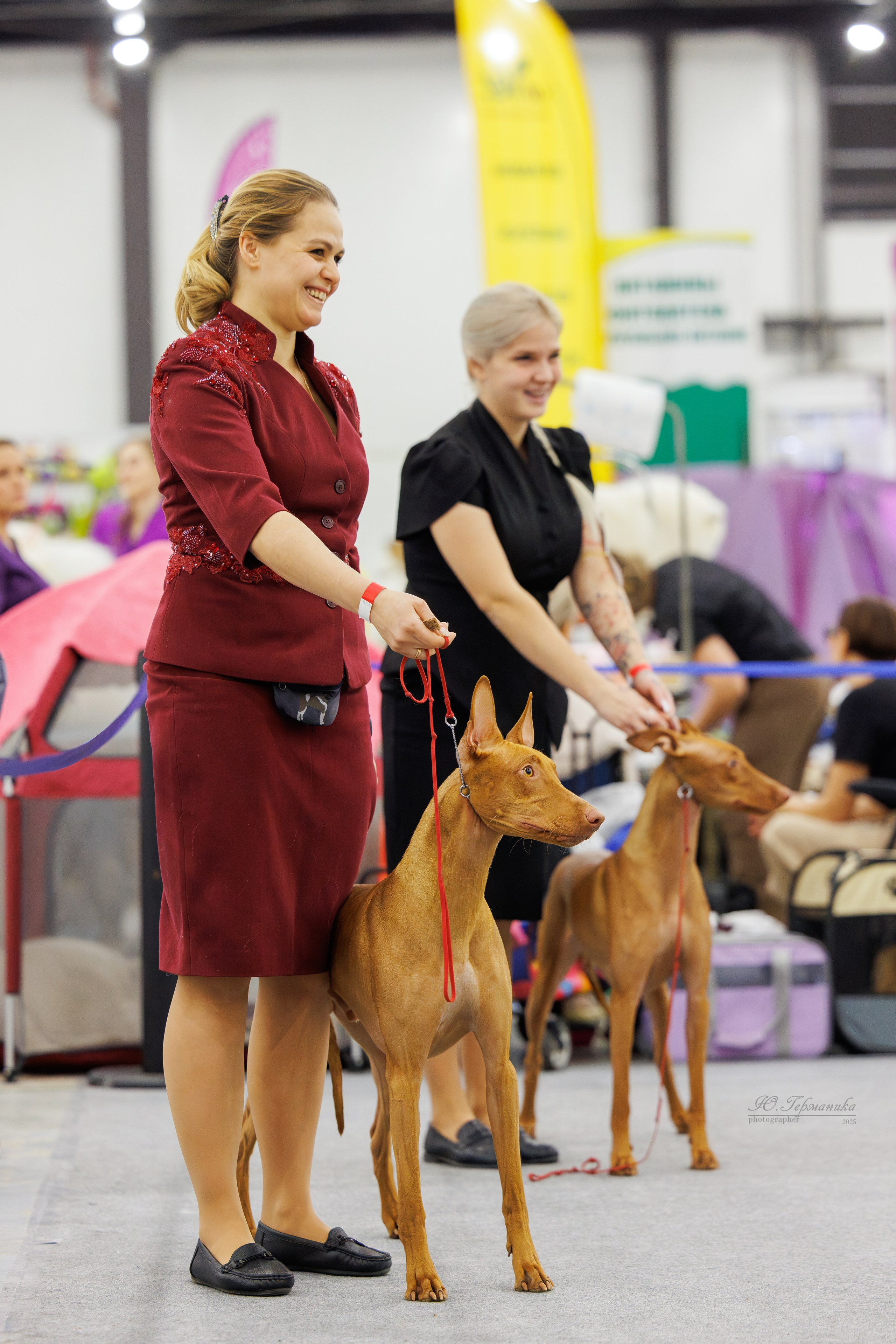 Питер 12-13.12.2025. Фотограф-анималист Юлия Германика