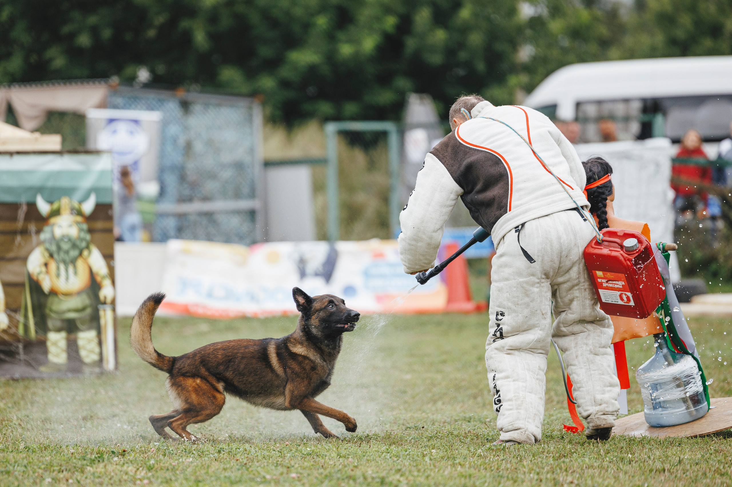 08.08.25-10.08.25 ЧР по мондьорингу г. Вологда. Фотограф-анималист Анна Маринич