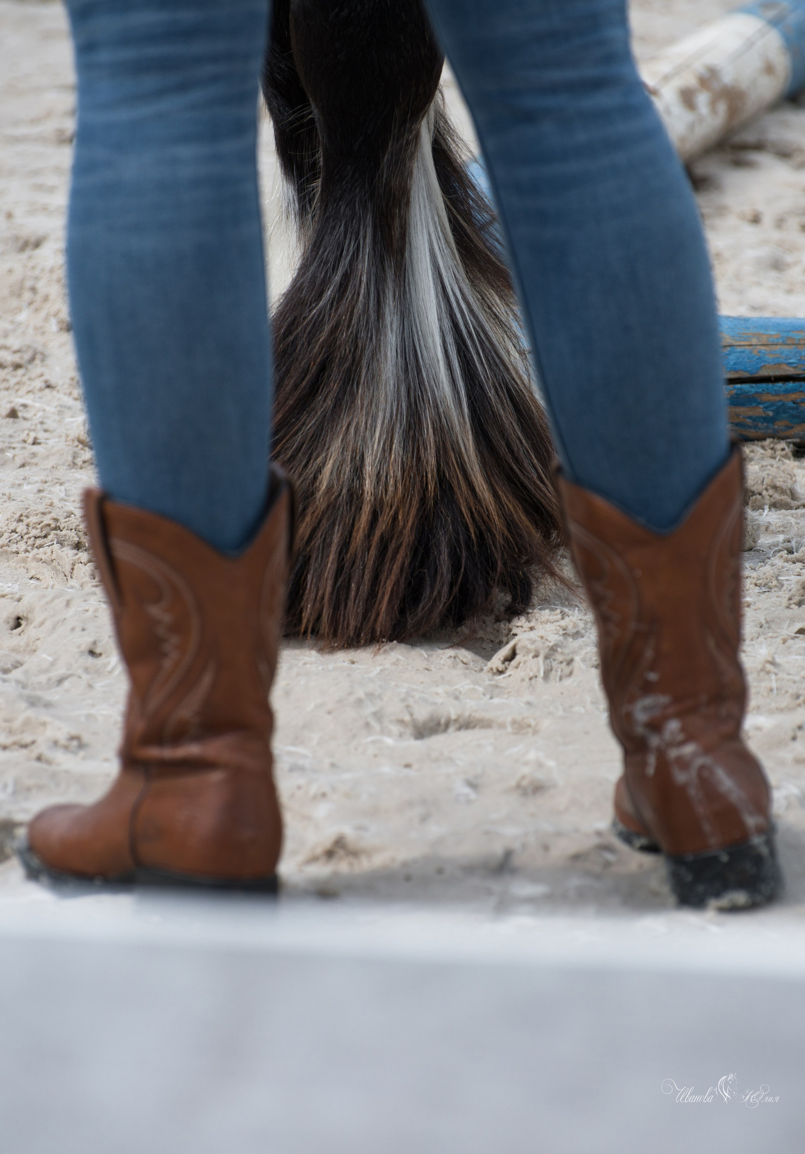 Эквирос, Москва. Конный фотограф в Саратове Юлия Иванова