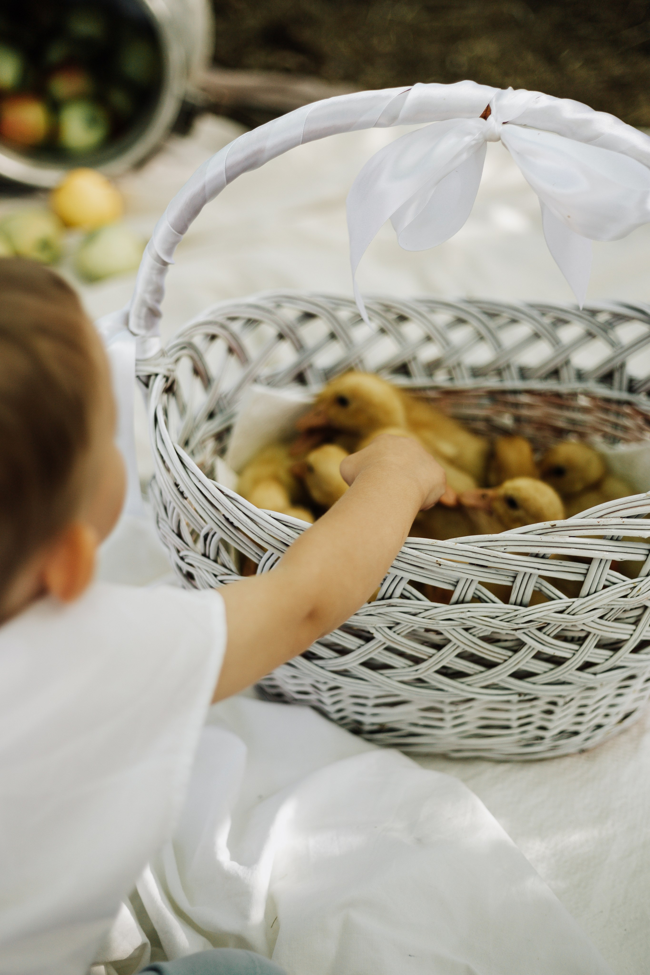 Артем, Вероника и Арсений на пикнике. Фотограф в Крыму | Виктория Нотевская