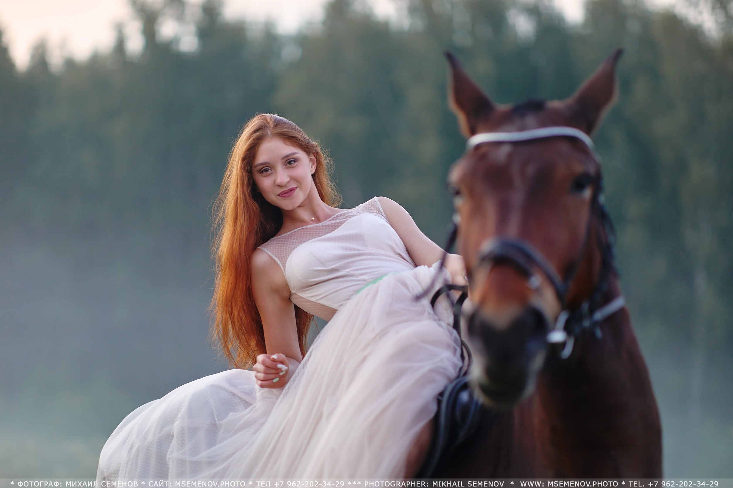 Фотосессия с лошадьми, Фотограф Михаил Семенов г. Ярославль