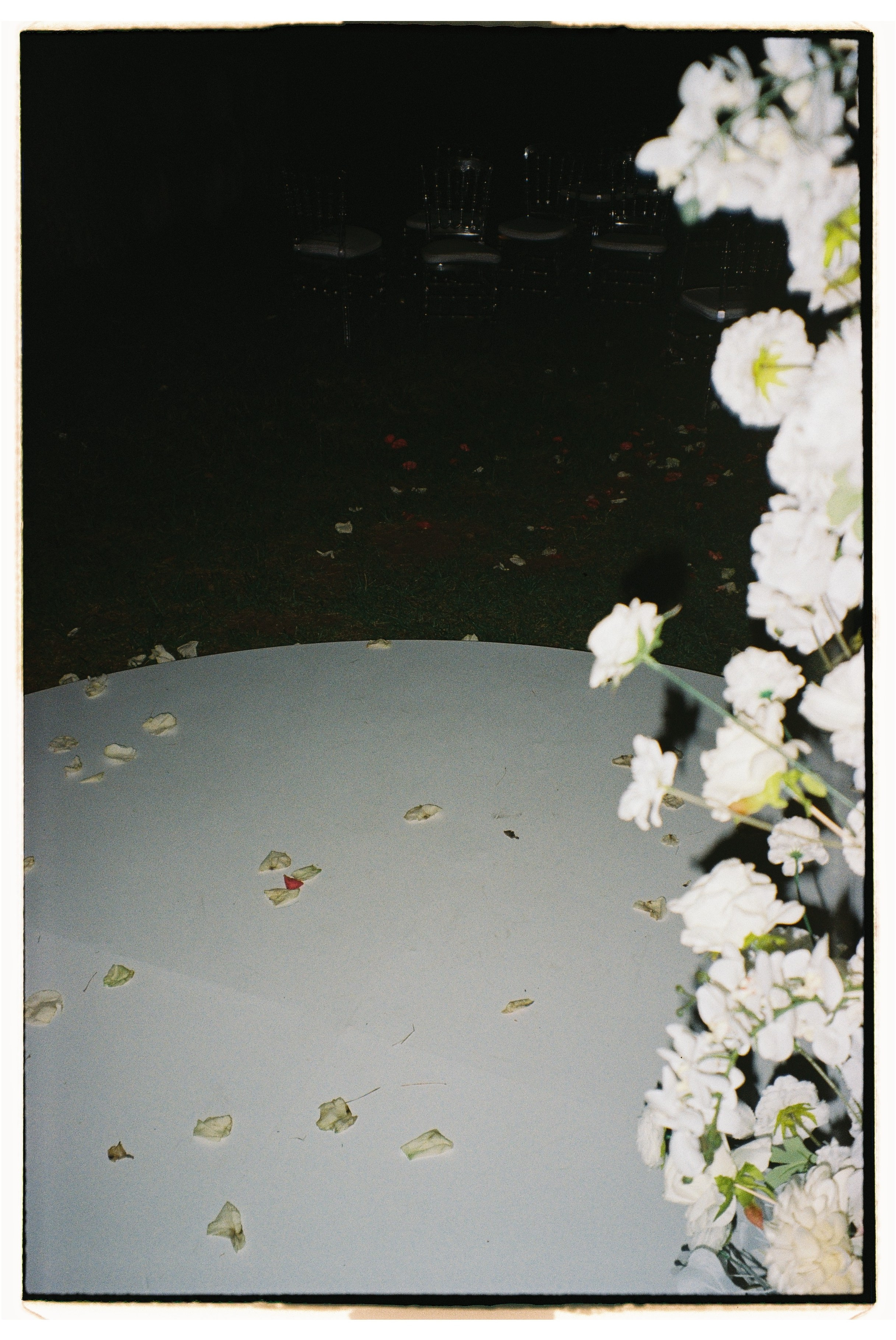 Пленочная фотография. ТАТИ | Татьяна Тихонова | фотограф | Тольятти Самара