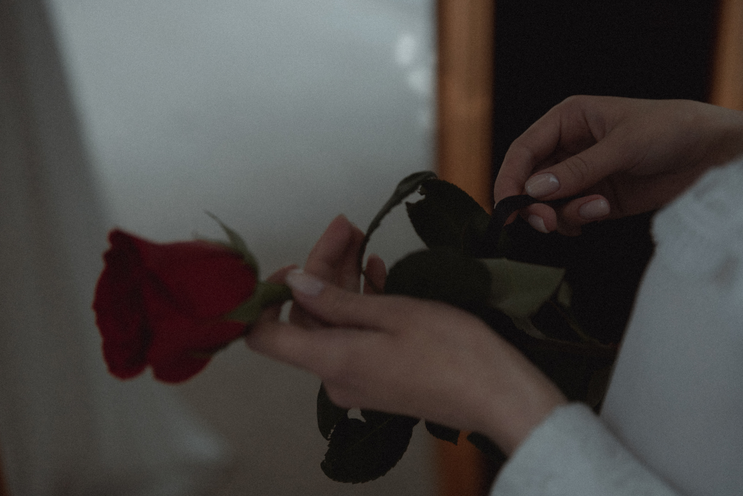 Last Goodbye. Фотограф Лия Козловская Минск