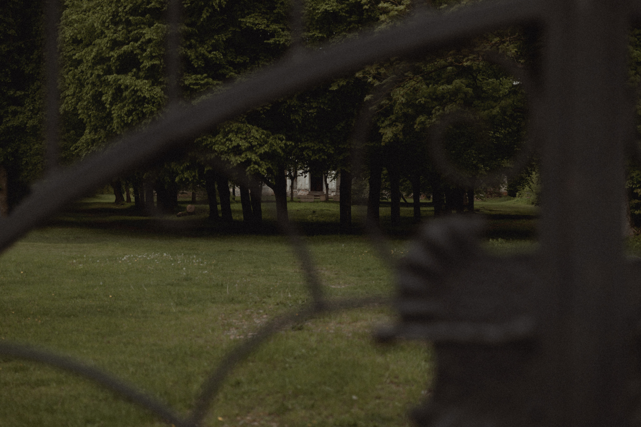 Last Goodbye. Фотограф Лия Козловская Минск