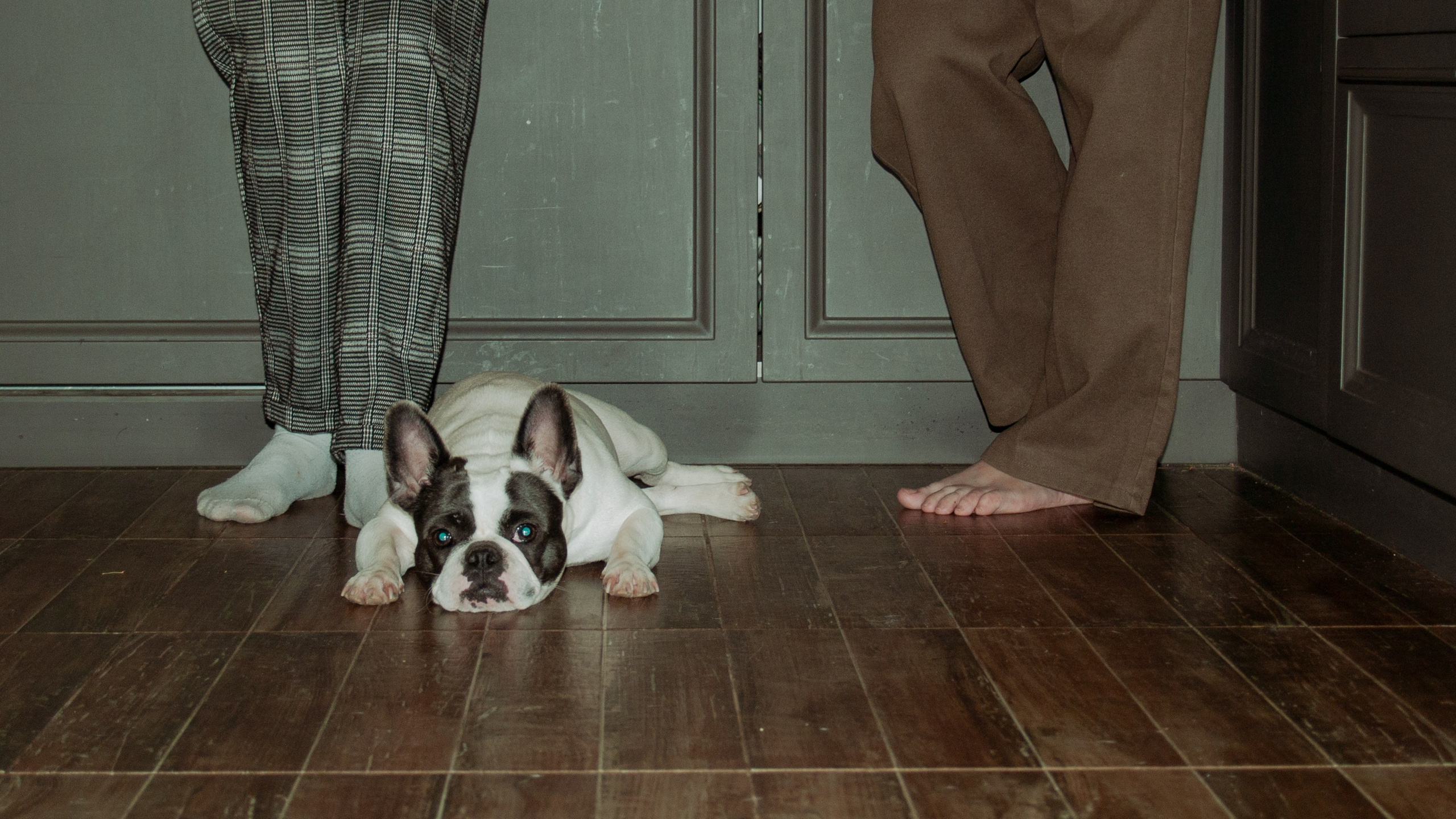 Home. Фотограф Елизавета Маслова. Москва. Art, Fashion