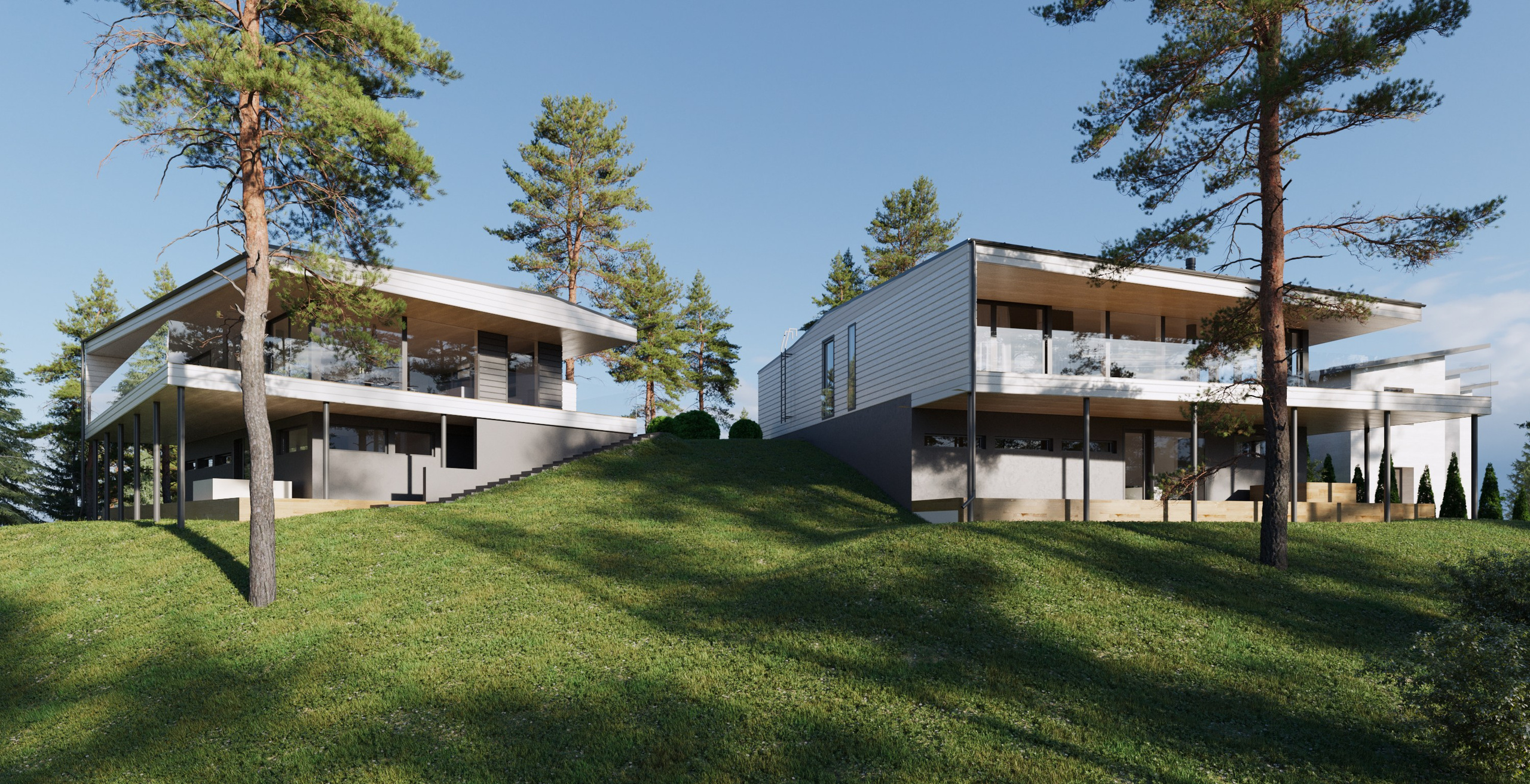 Современные дома с плоскими крышами и большими террасами, на травянистом холме среди сосен