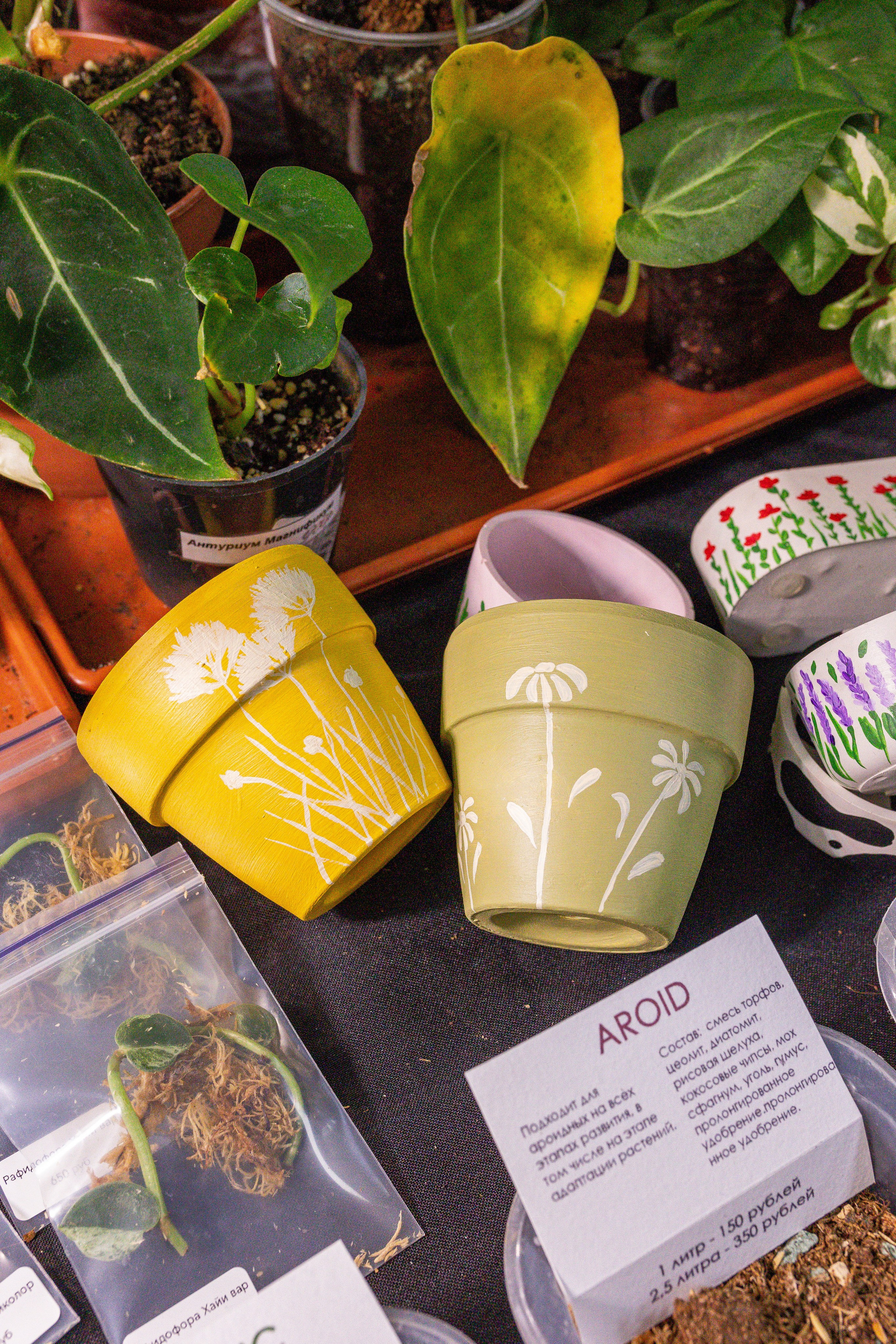 Монстериум апрель 2025. Александра Куликова фотограф, Москва