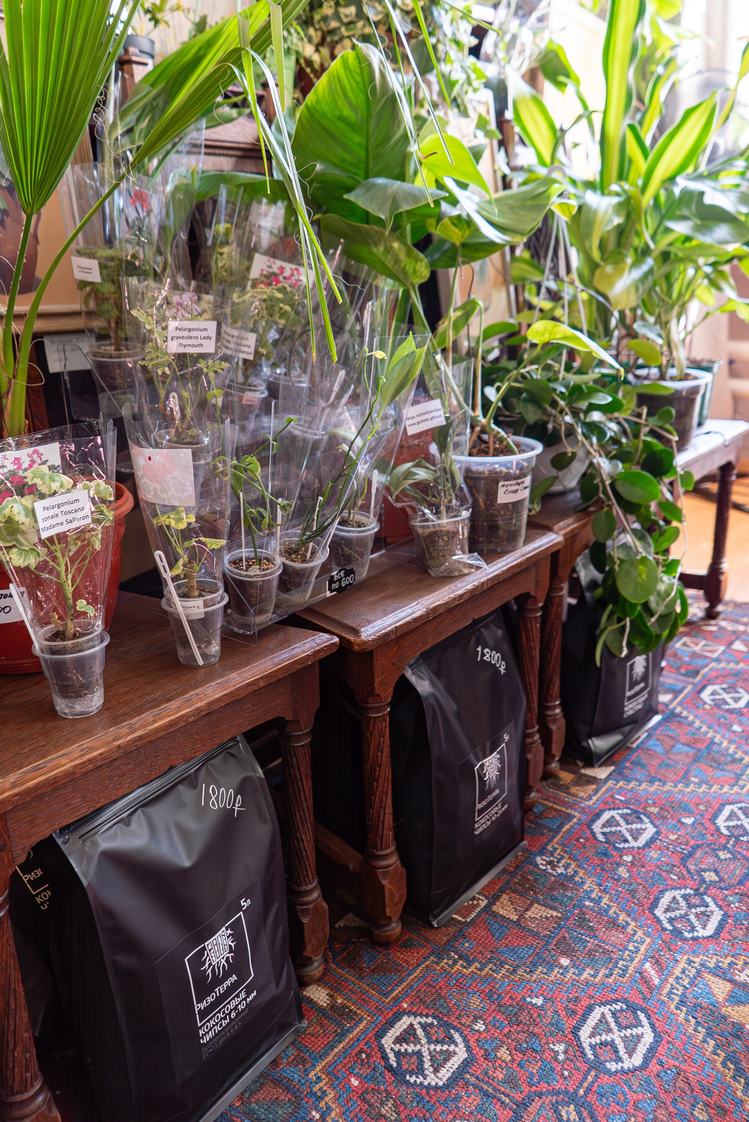 Усадьба. Александра Куликова фотограф, Москва