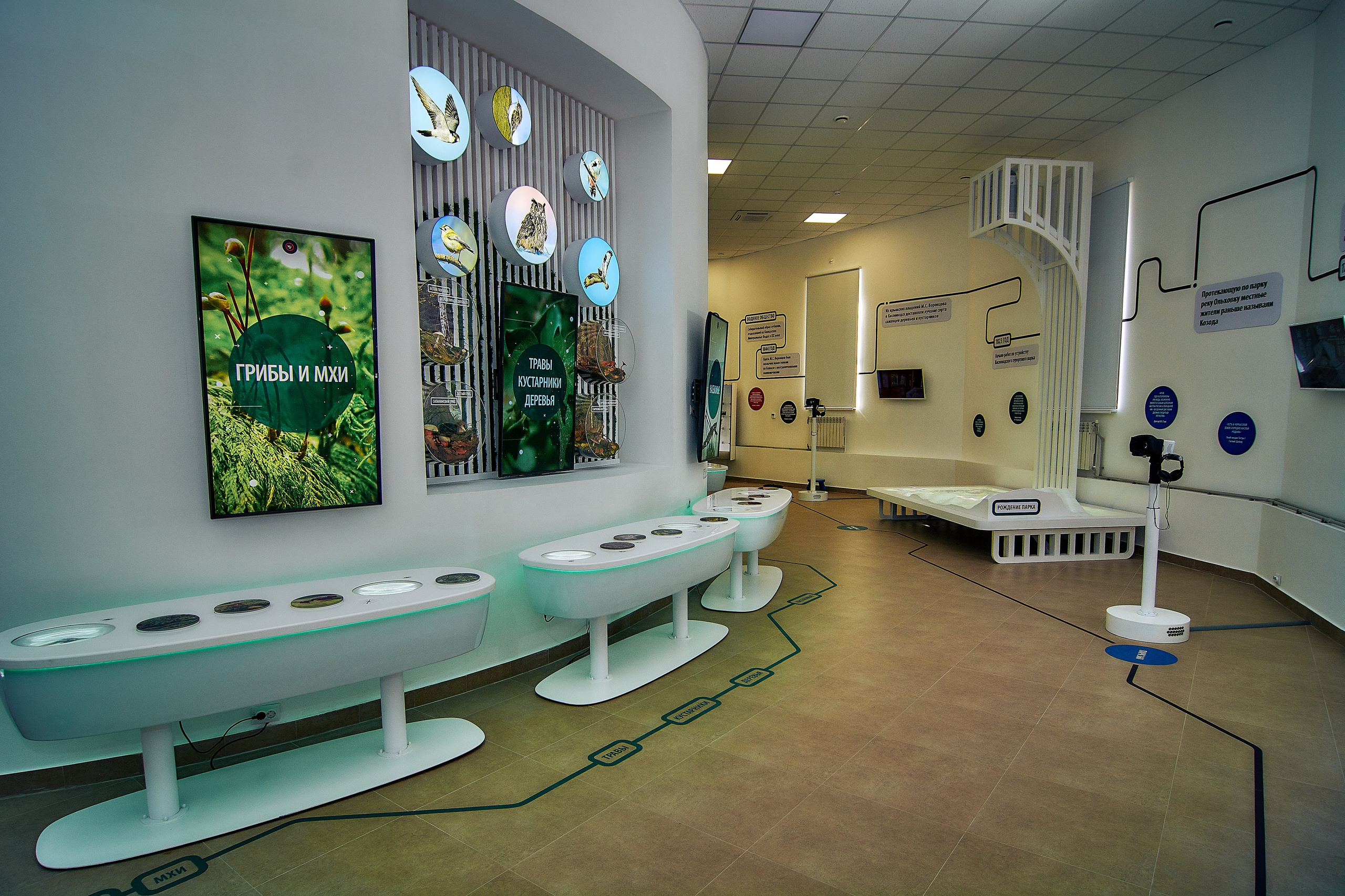 Интерьерная съемка Визит-центр Национальный парк «Кисловодский». Константин Кордонский | Интерьерный и food-фотограф в Кисловодске и КМВ