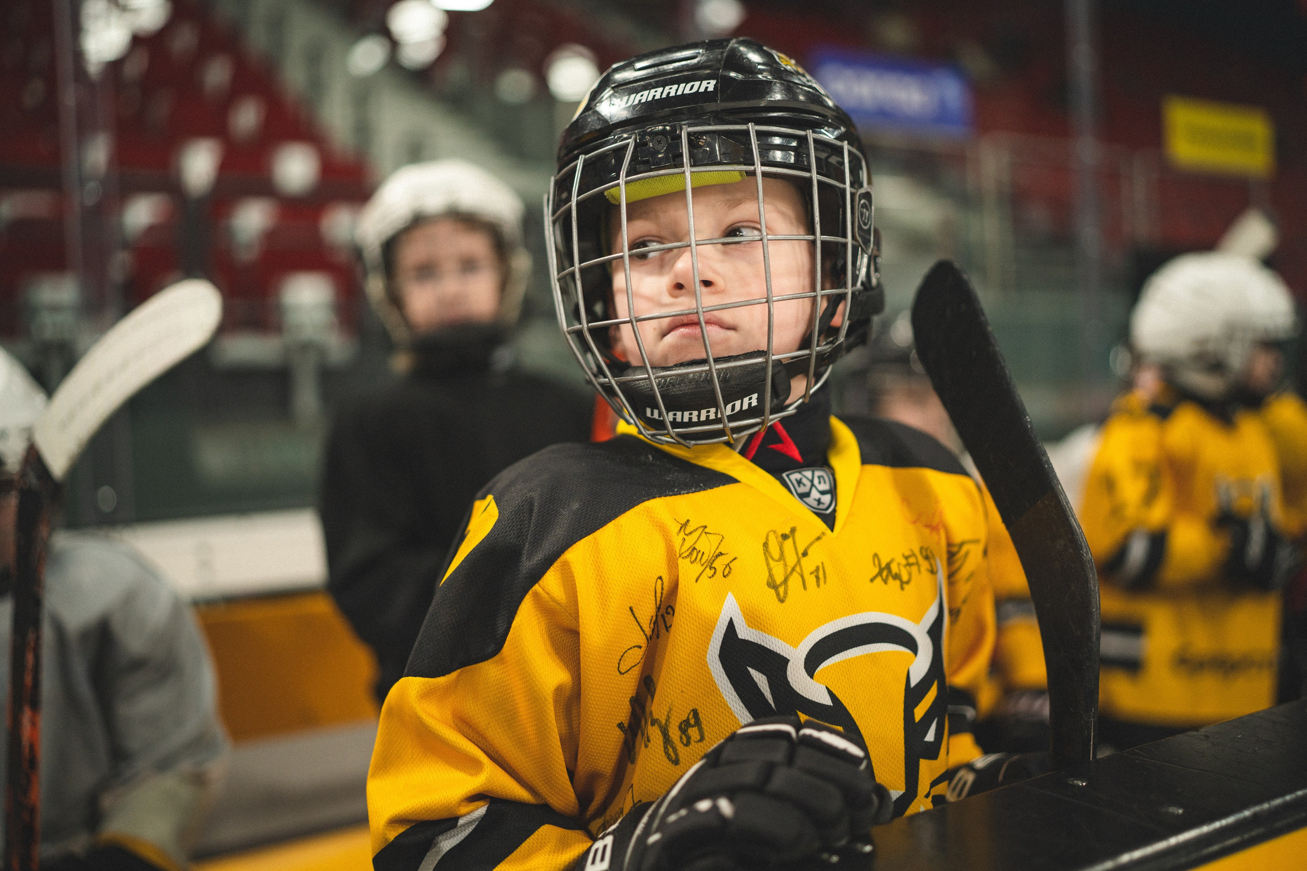 ХК Северсталь (младшая группа). Череповец. Zekons. Фото, видео, нейросети