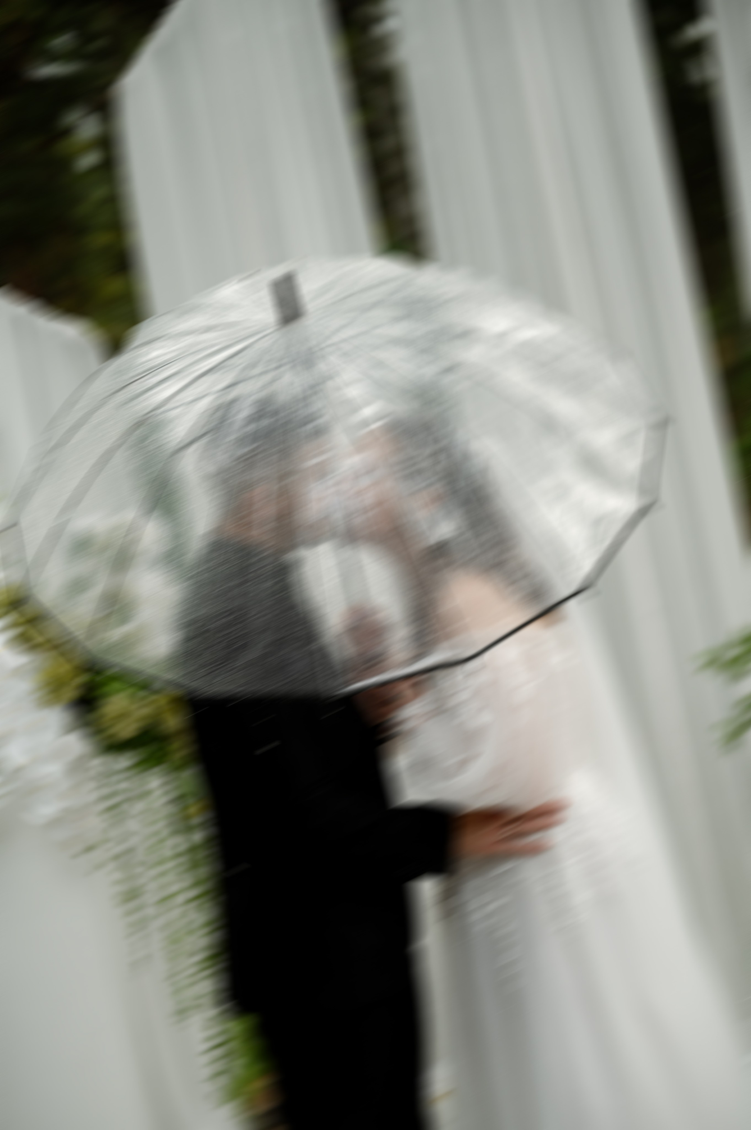 Даша & Никита. Свадебный и семейный фотограф Тюмень Екатеринбург Москвина Алёна