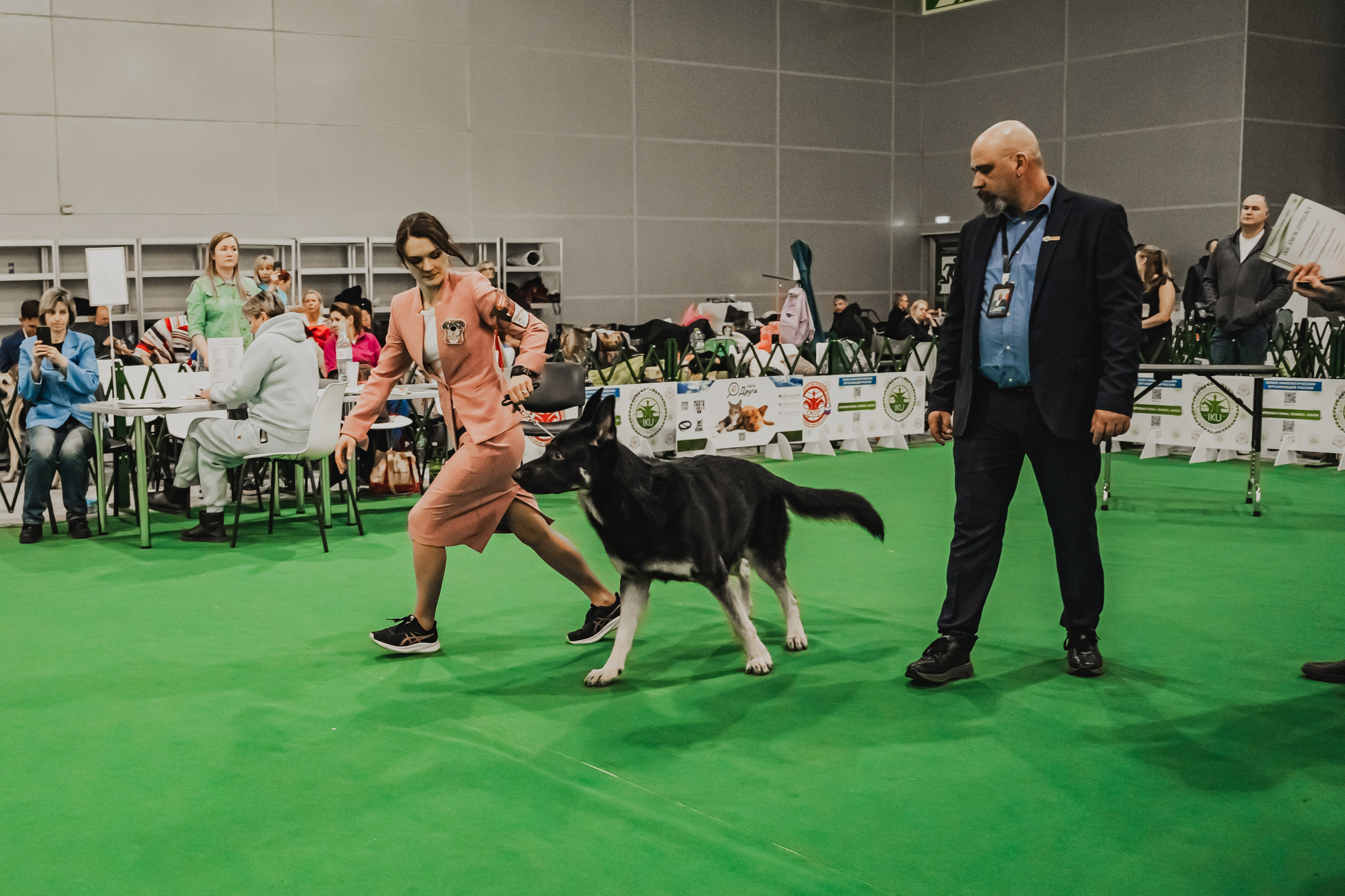 Международная выставка собак всех пород. Репортажный фотограф Анастасия Рубцова