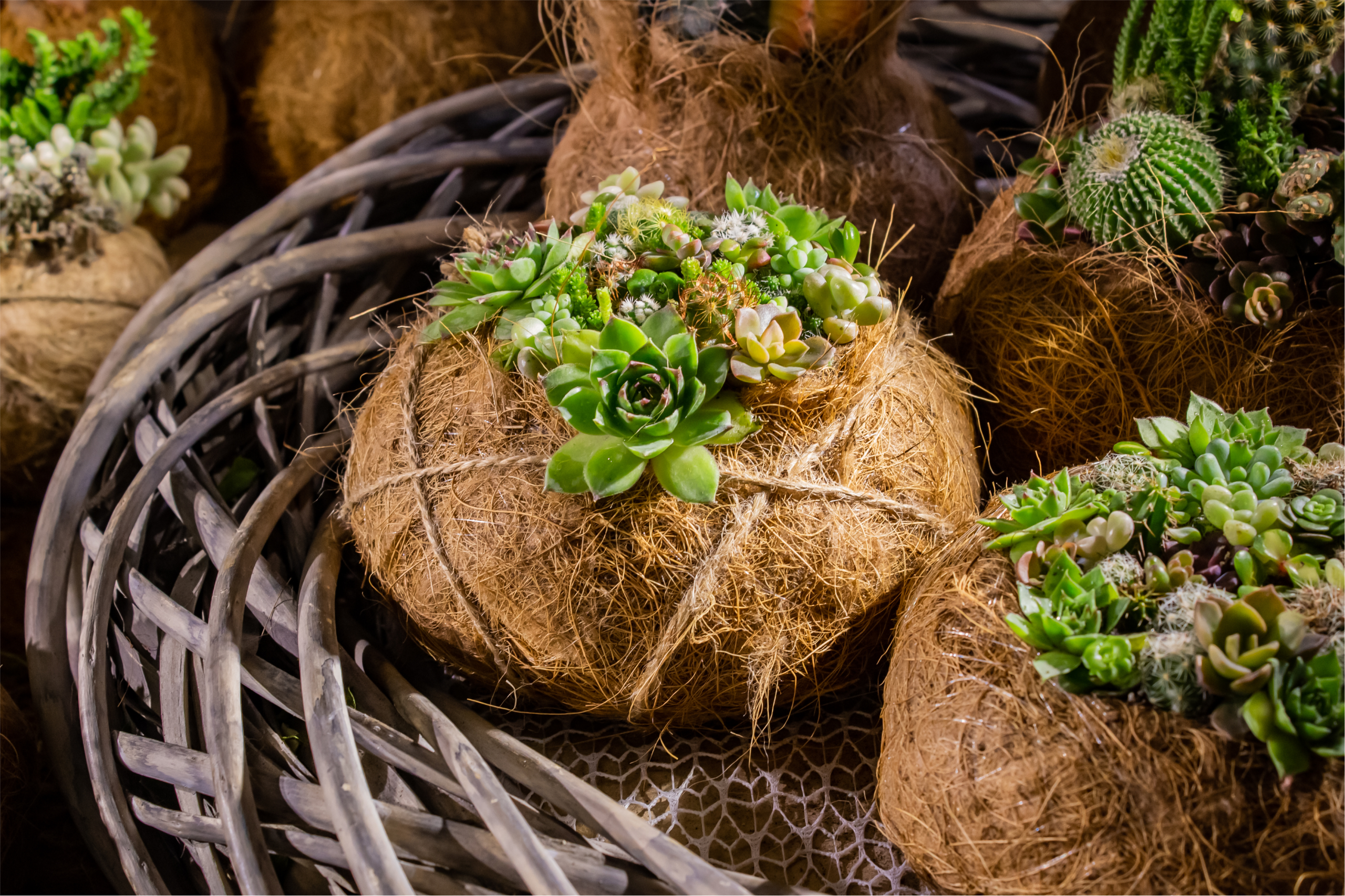 Маркет 4 сезона. Репортажный фотограф Анастасия Рубцова
