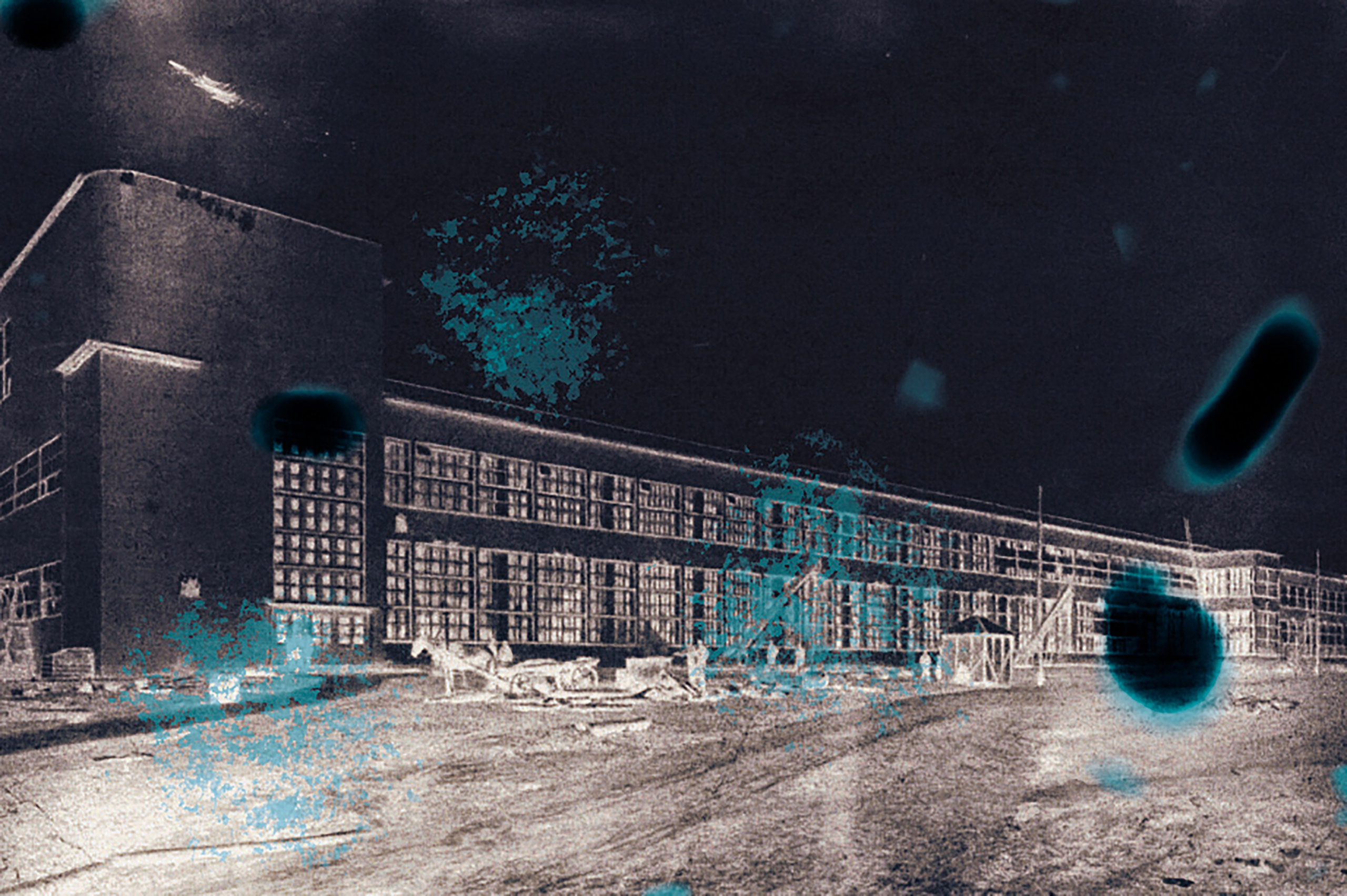 Красная Талка. Анна Полонеева фотография фотохудожник визуальная художница портреты