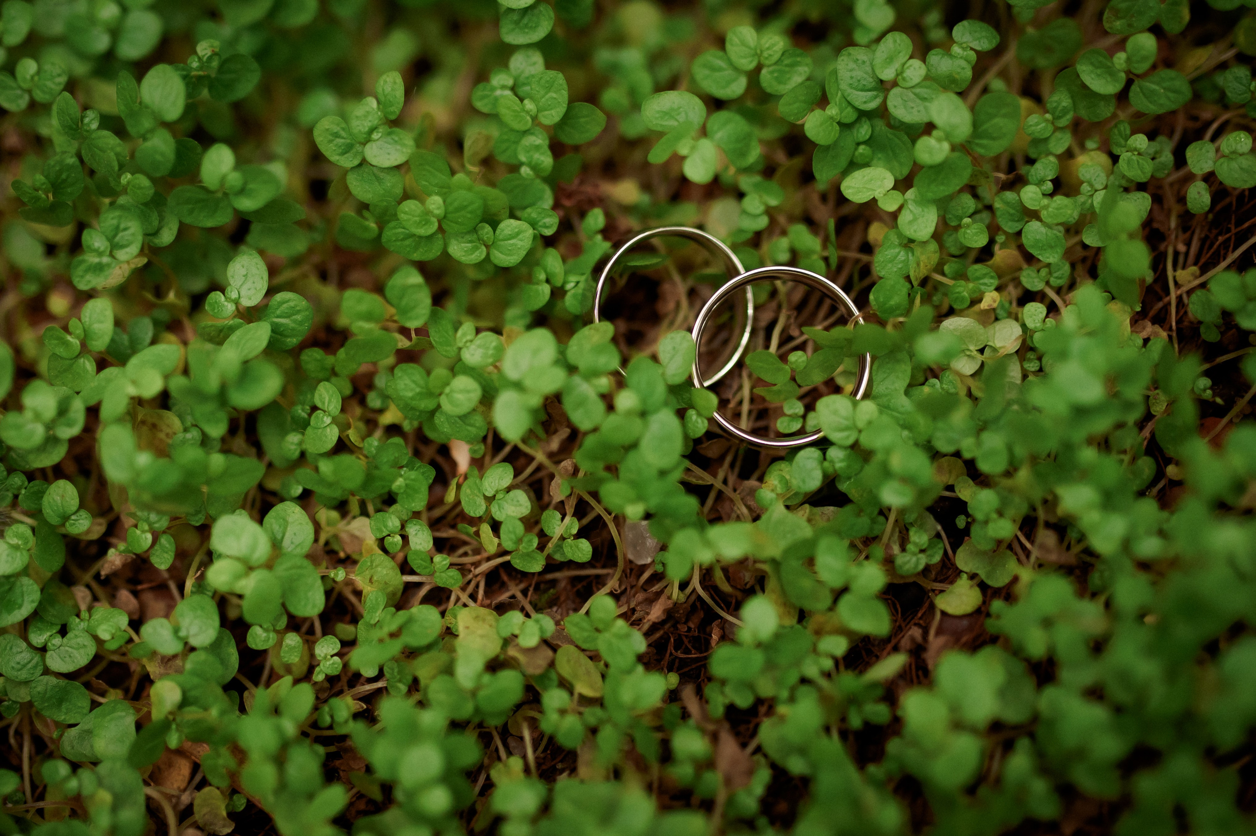 Илья и Катя. Семейный фотограф МОСКВА/Королёв