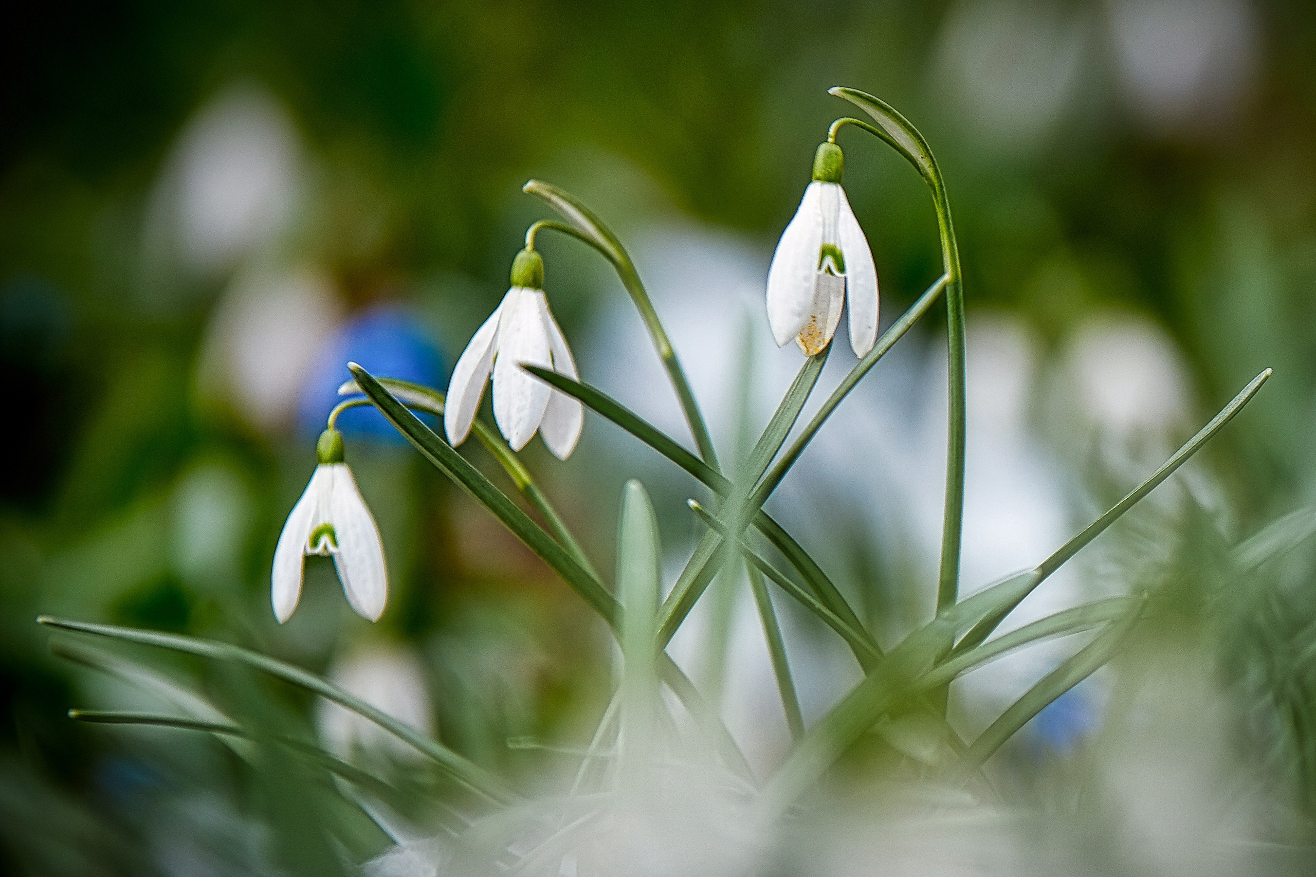 Наша мать — природа. Фотограф Владимир Артамонов