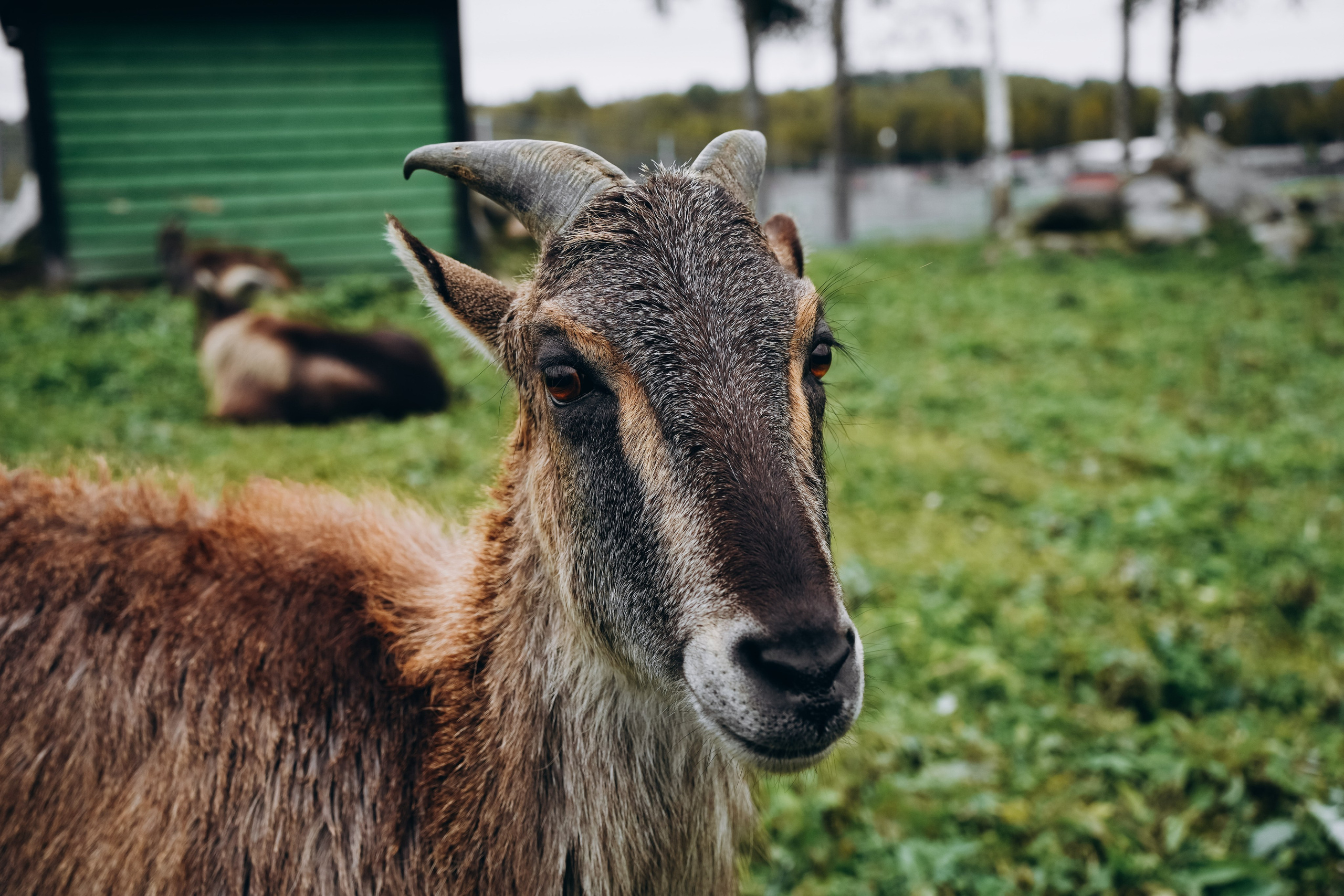 СЕВЕР. Event фотограф Степанова Александра