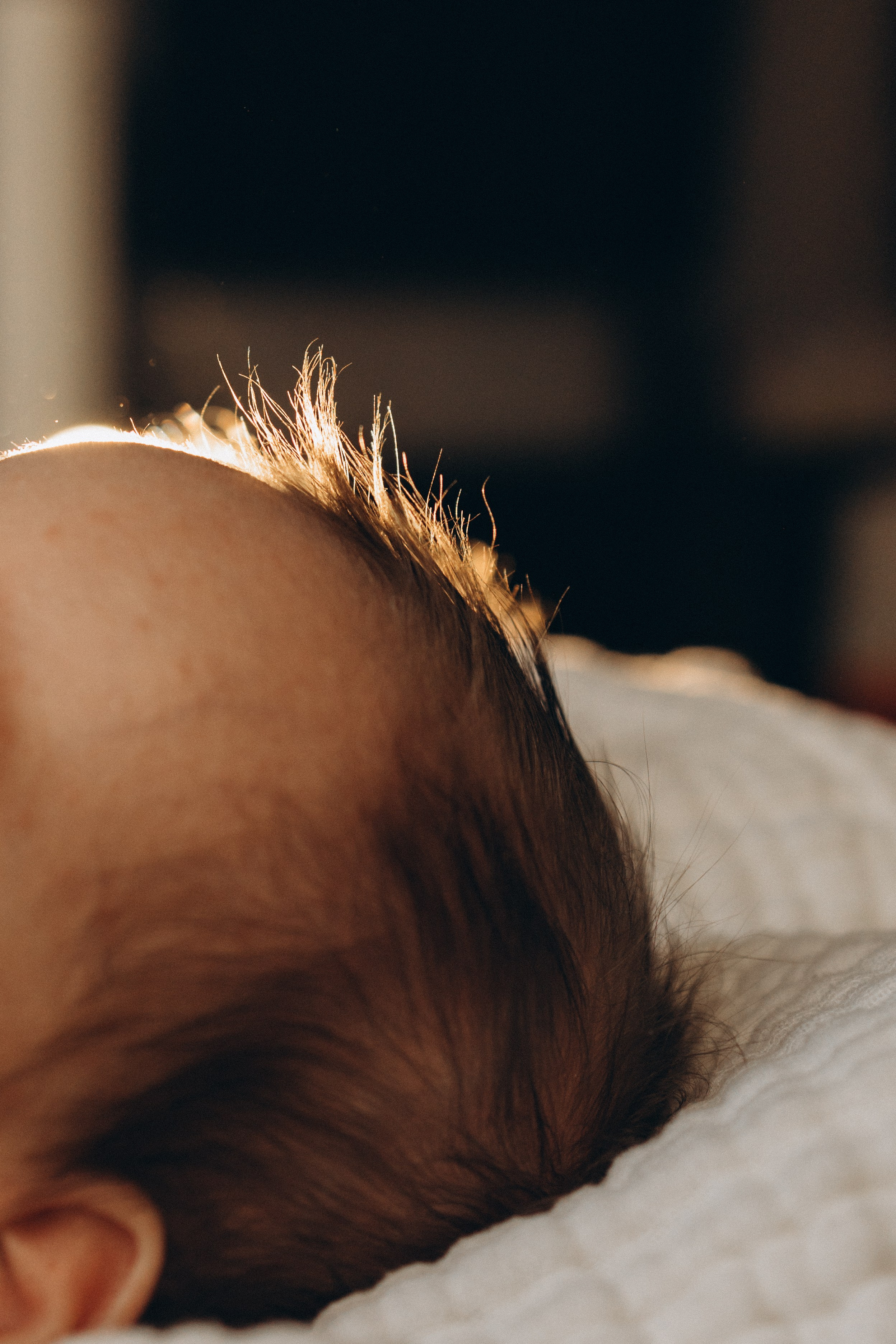 Артем и Костя. Семейный фотограф в Москве Ксения Аганина