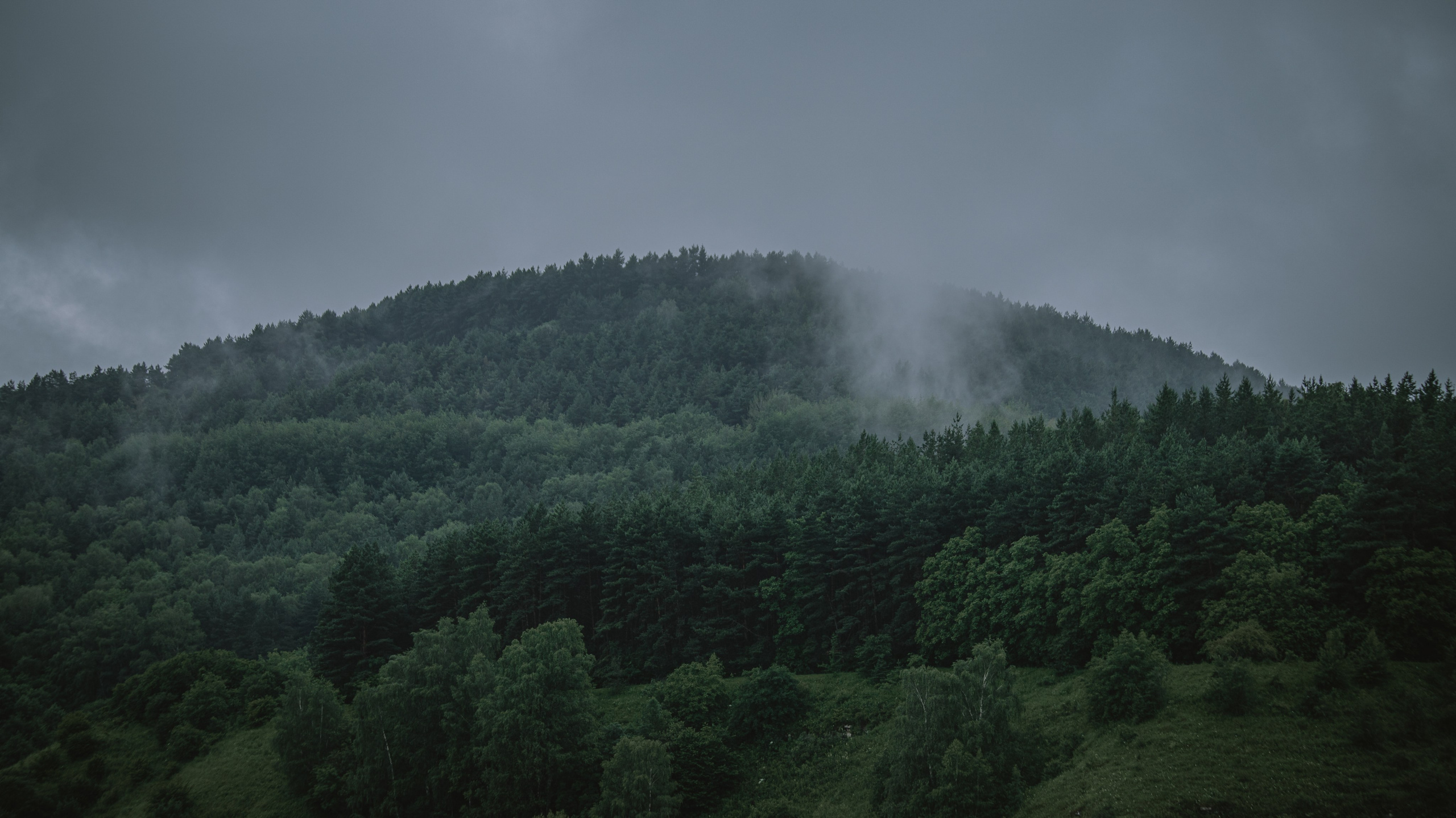 Карачаево-Черкесская Республика. Фотограф. Пейзажи, макро, портреты. Город Енакиево, без границ в съёмке