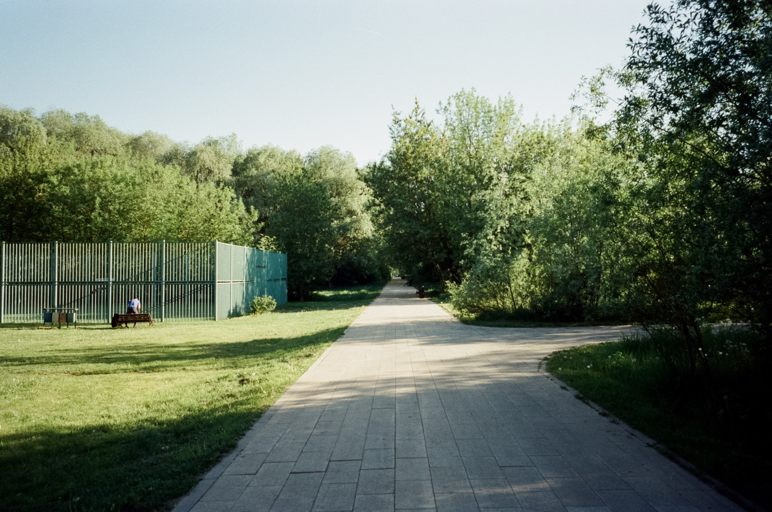 Ricoh GR10 / SFL 250D / Тестовая пленка у речки в Строгино