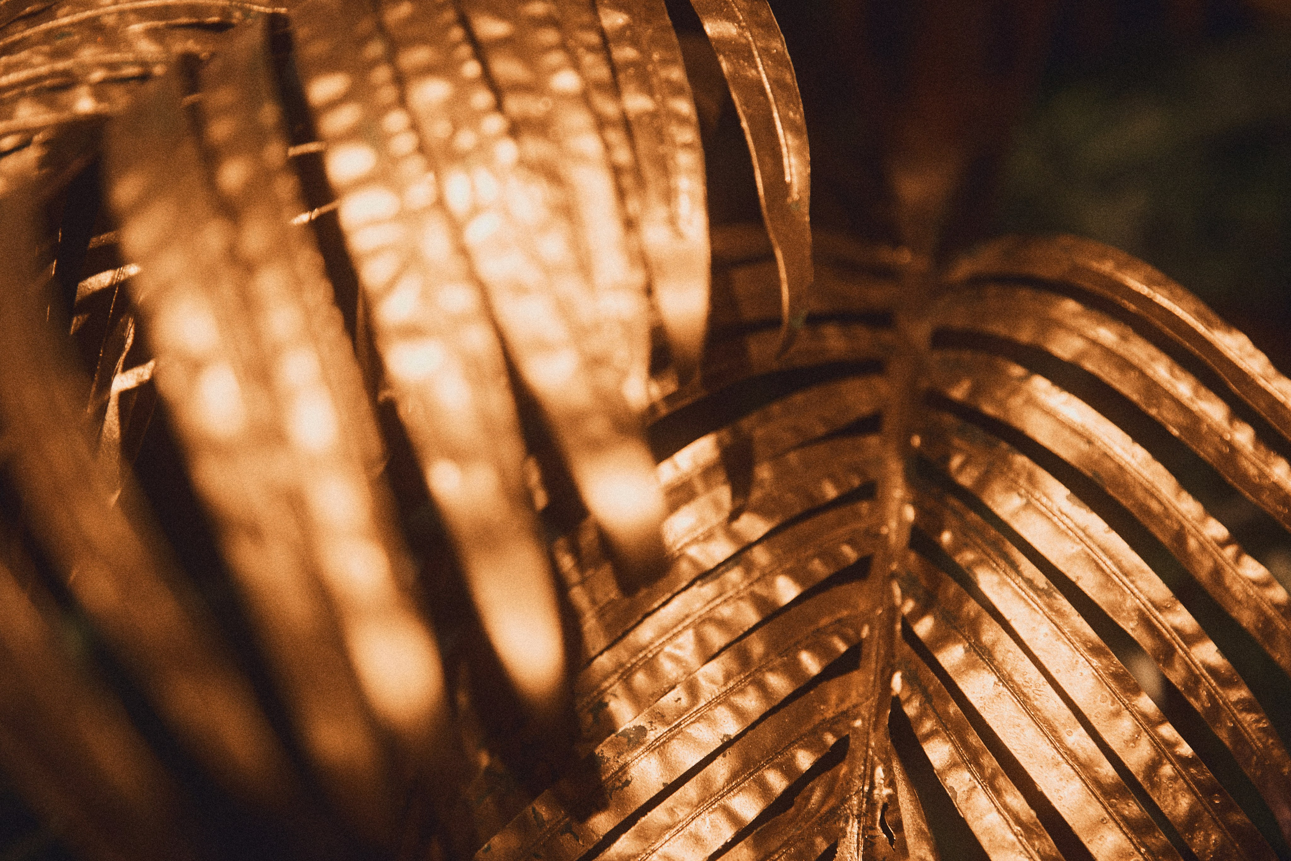 VIBE&VELVET. Дмитрий Мазуркевич: Профессиональный Репортажный Фотограф