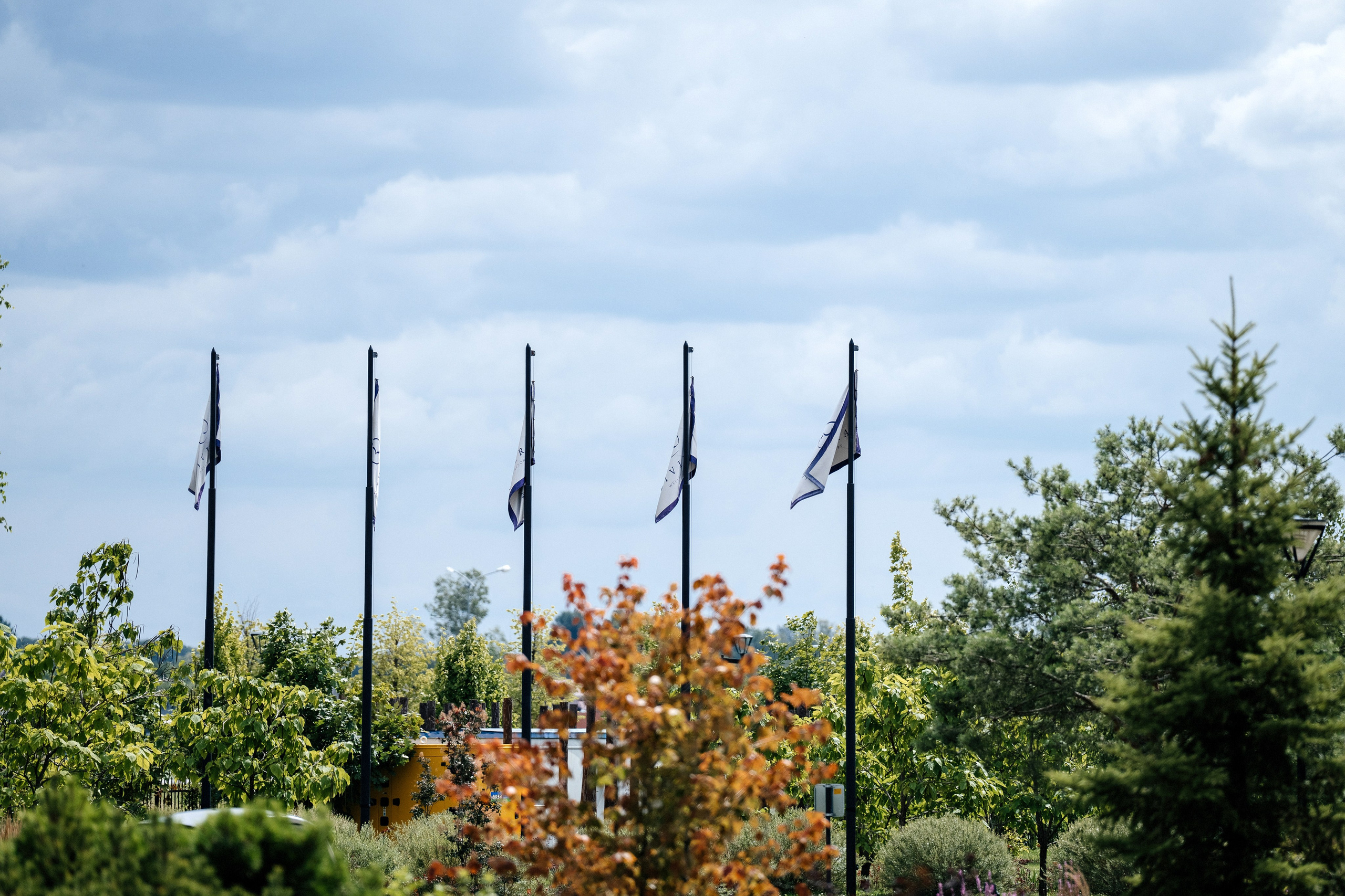 Данила и Марина. Свадебный фотограф Александр Воронов — Белгород, Воронеж, Москва