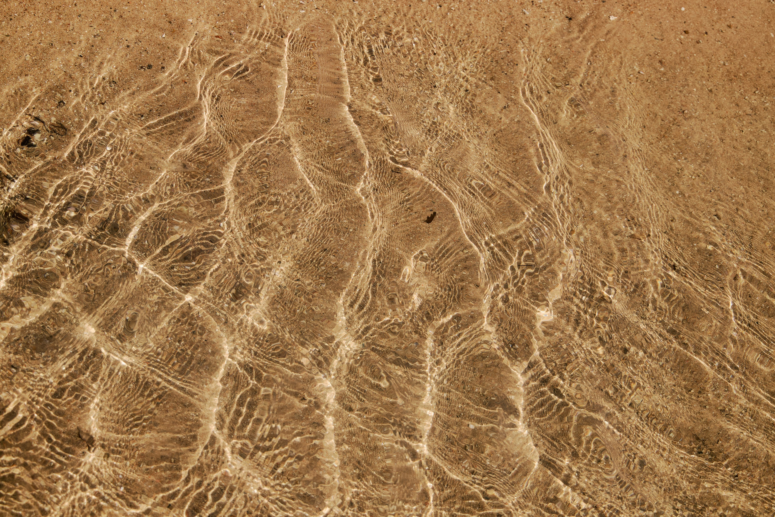 Другое 3. Jorgis — фотограф в Хургаде / обучение фотографии