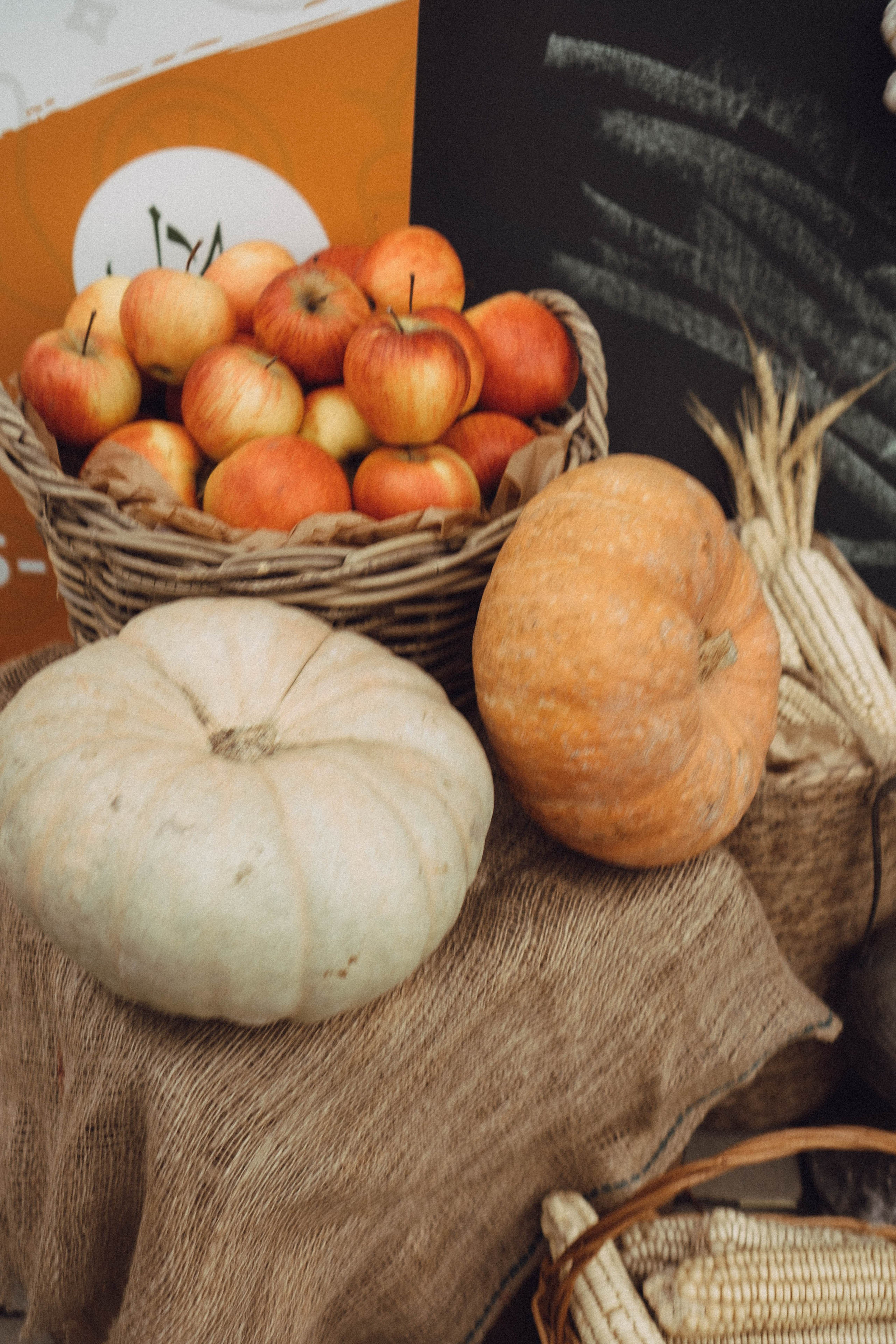 Кавказ. Профессиональный фотограф, Санкт-Петербург — Виктория Богомолова