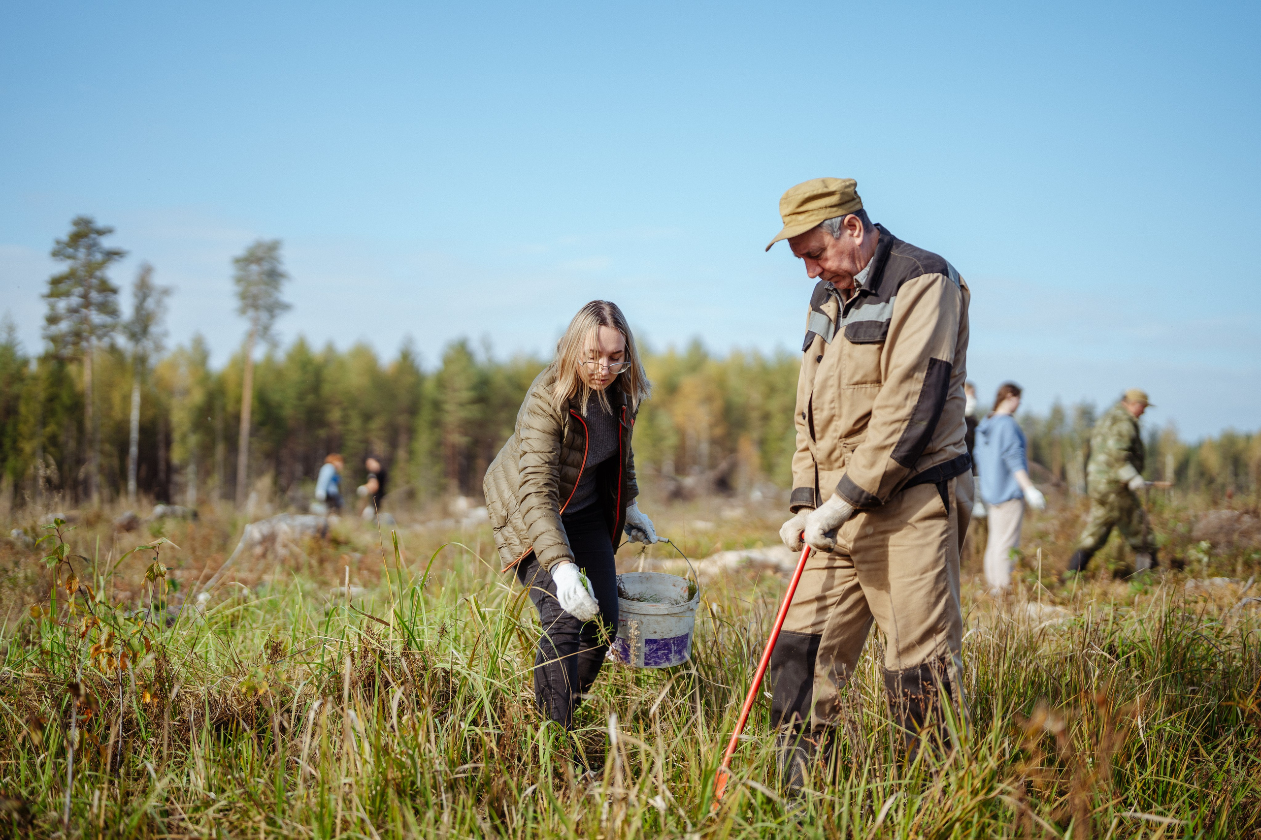 СБЕР · ЭКА · Посадка сеянцев. Владимир Вершинин, тот самый свадебный видеограф