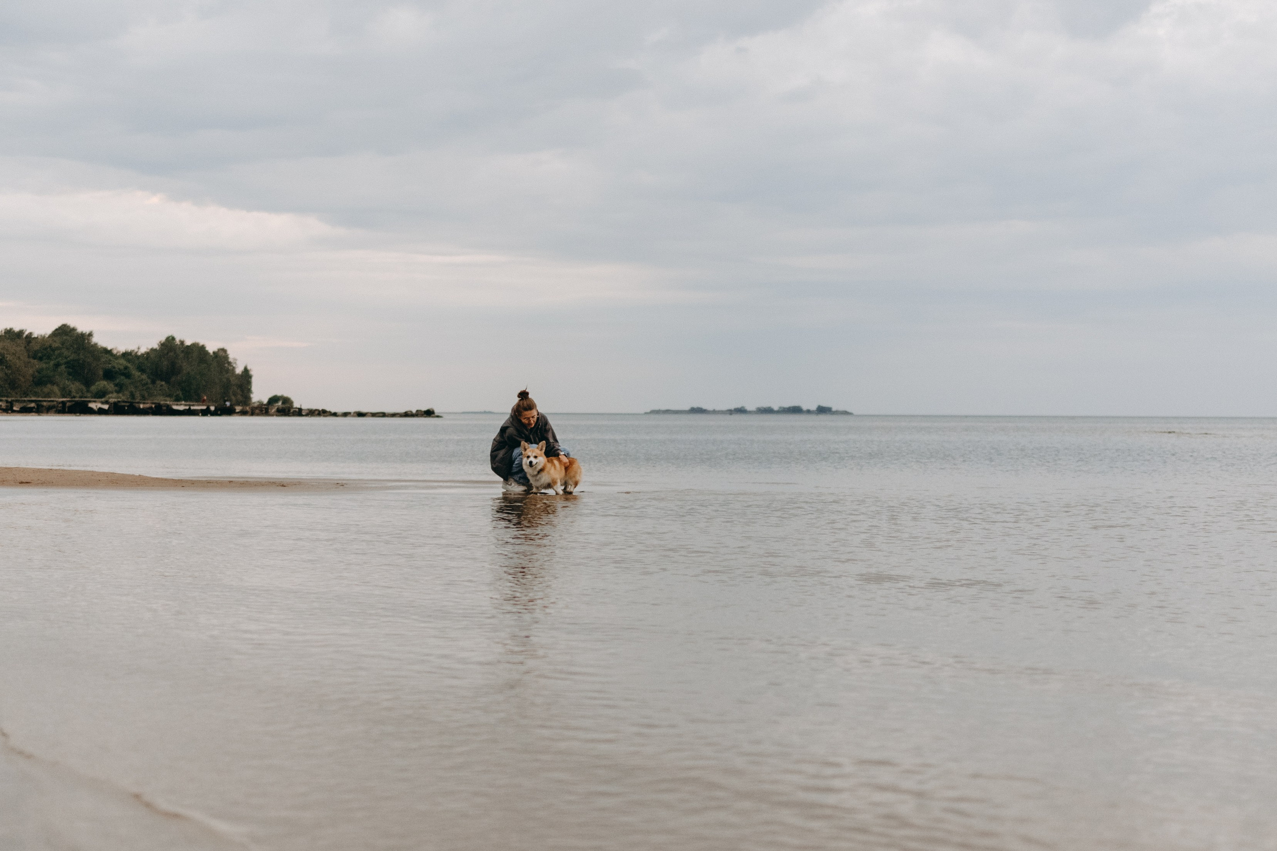 Лиза и Бакс. Фотограф — Анималист | Санкт-Петербург